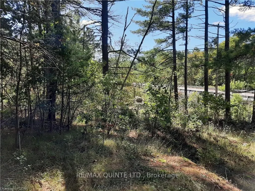 0 PT LT12 CON14 Hwy 37 Road