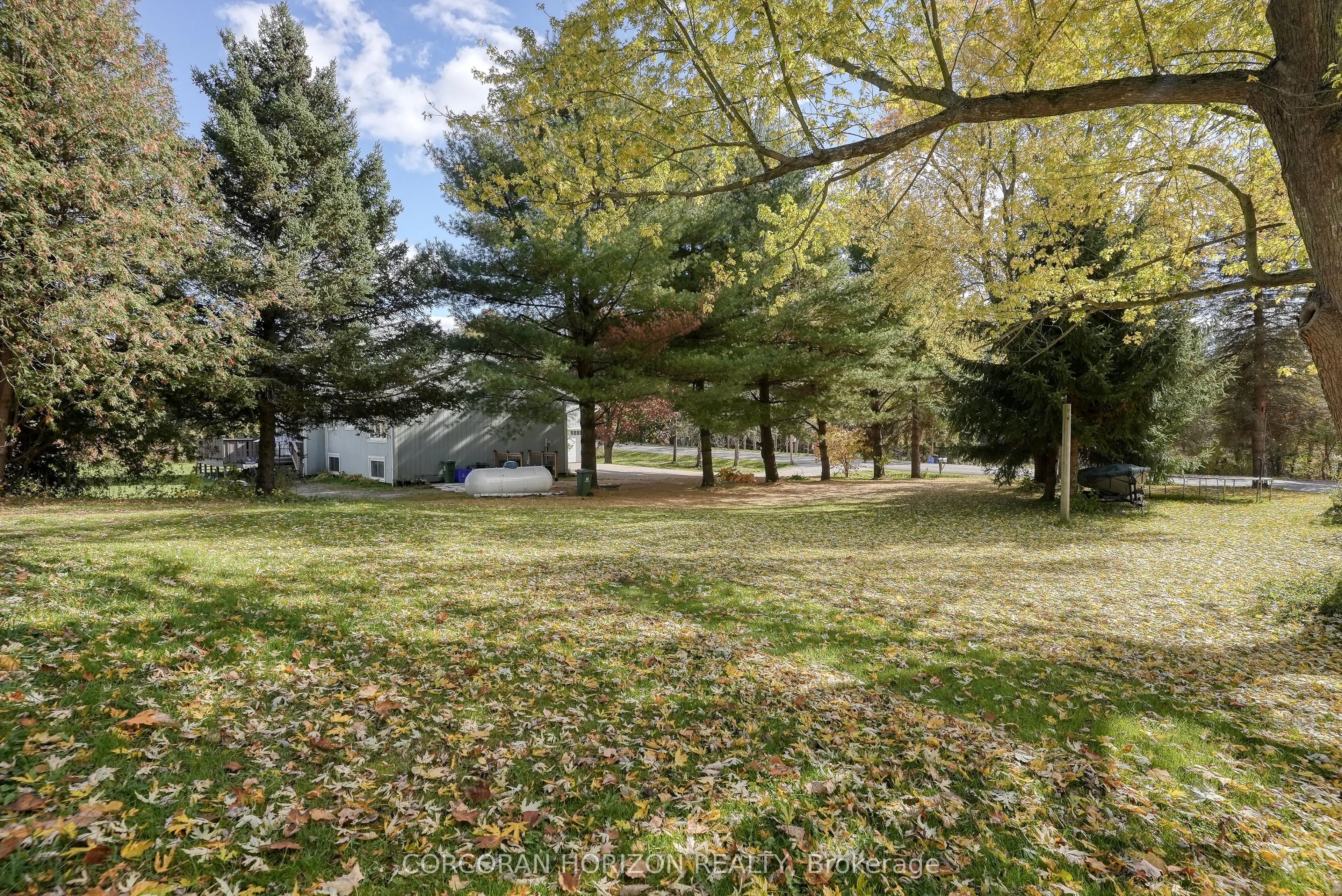 867 Jerseyville Road W