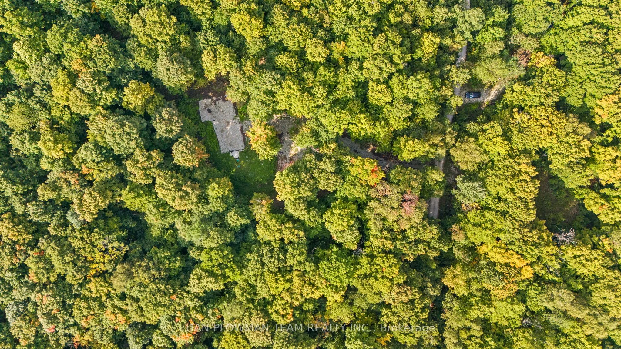 Lot 109 Basshaunt Lake Road