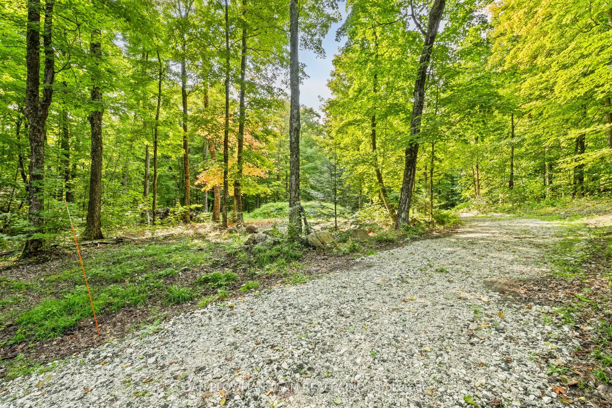 Lot 109 Basshaunt Lake Road