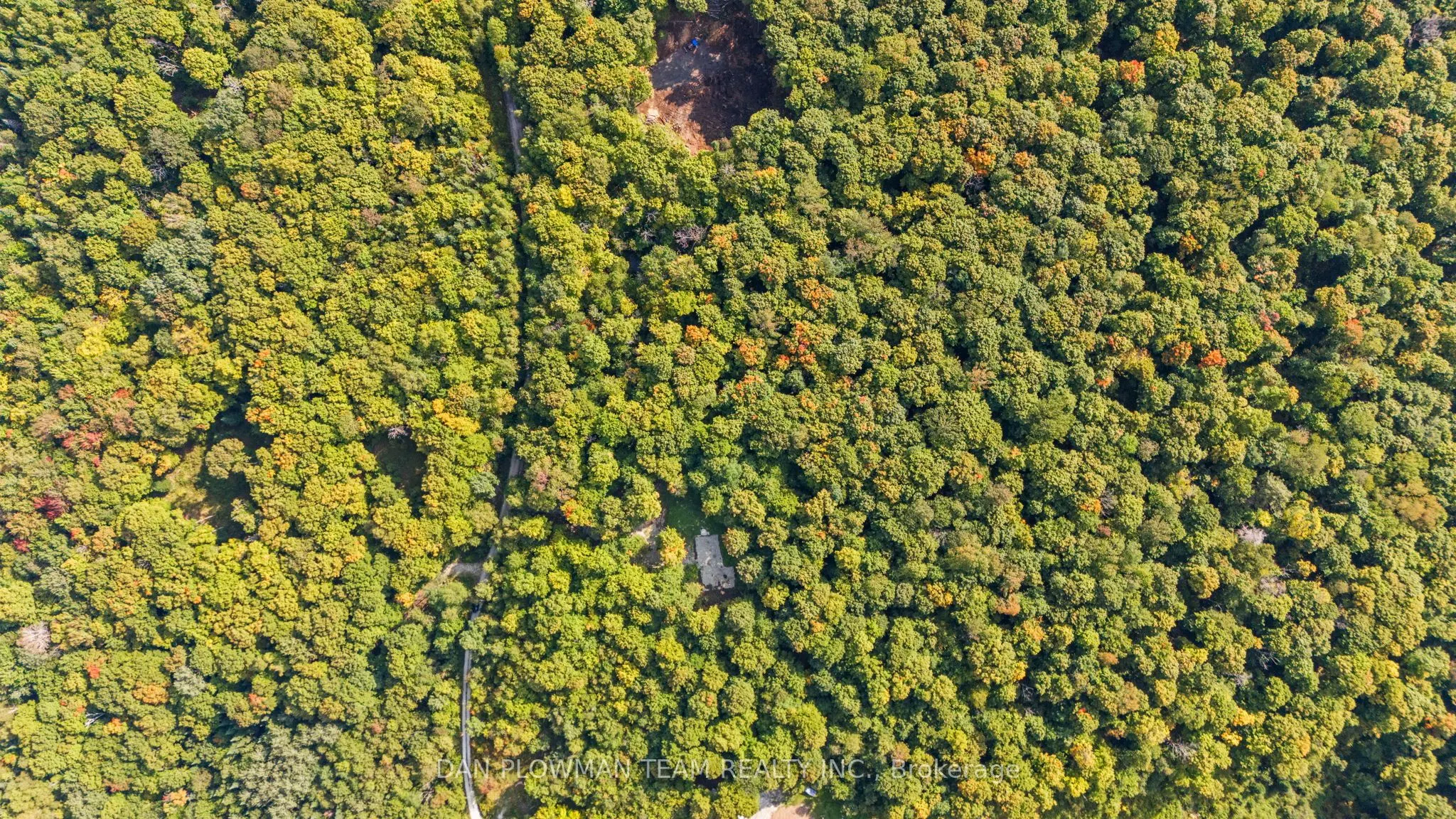 Lot 109 Basshaunt Lake Road