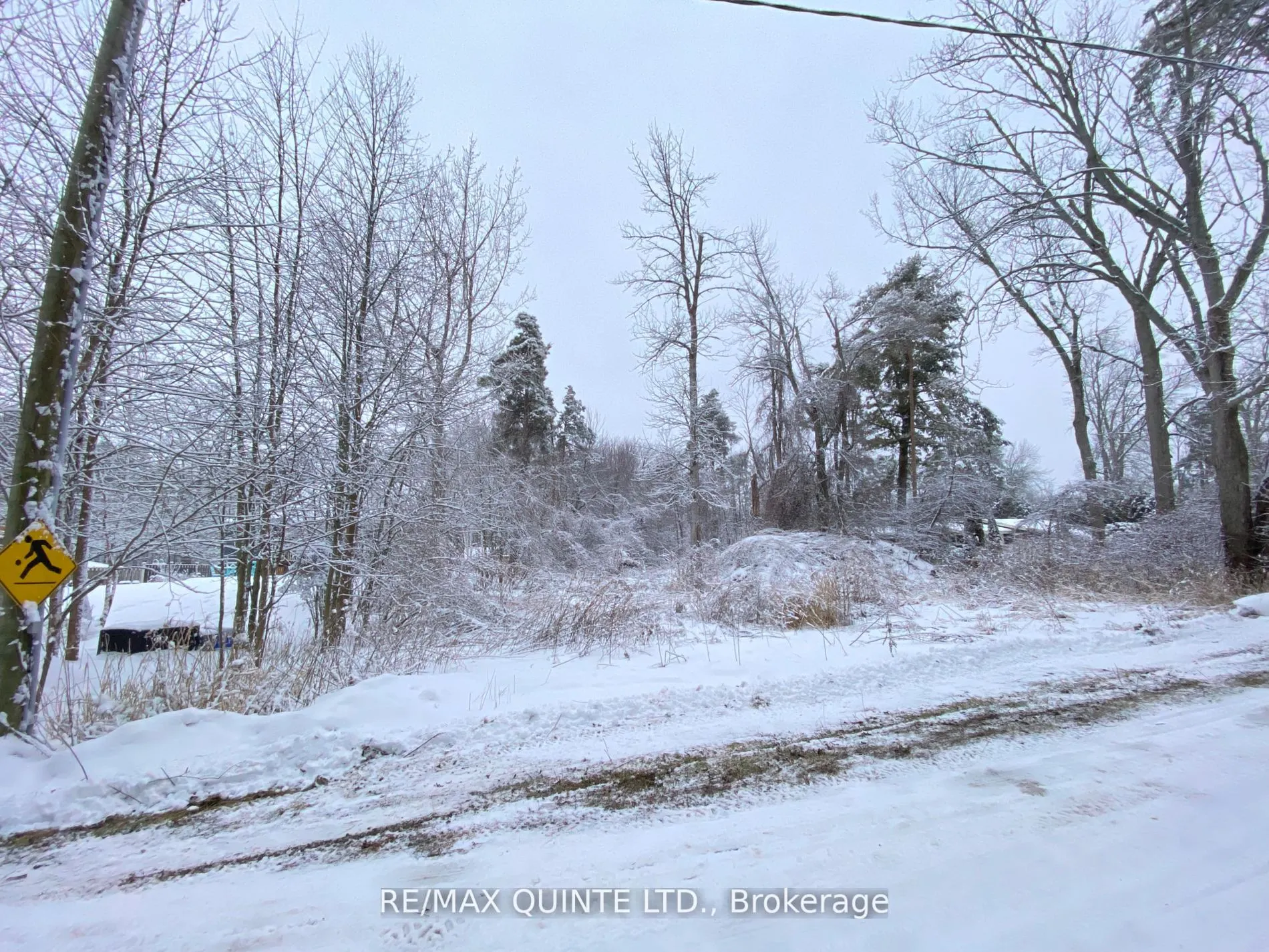 149 Evergreen Lane