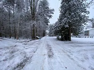 149 Evergreen Lane