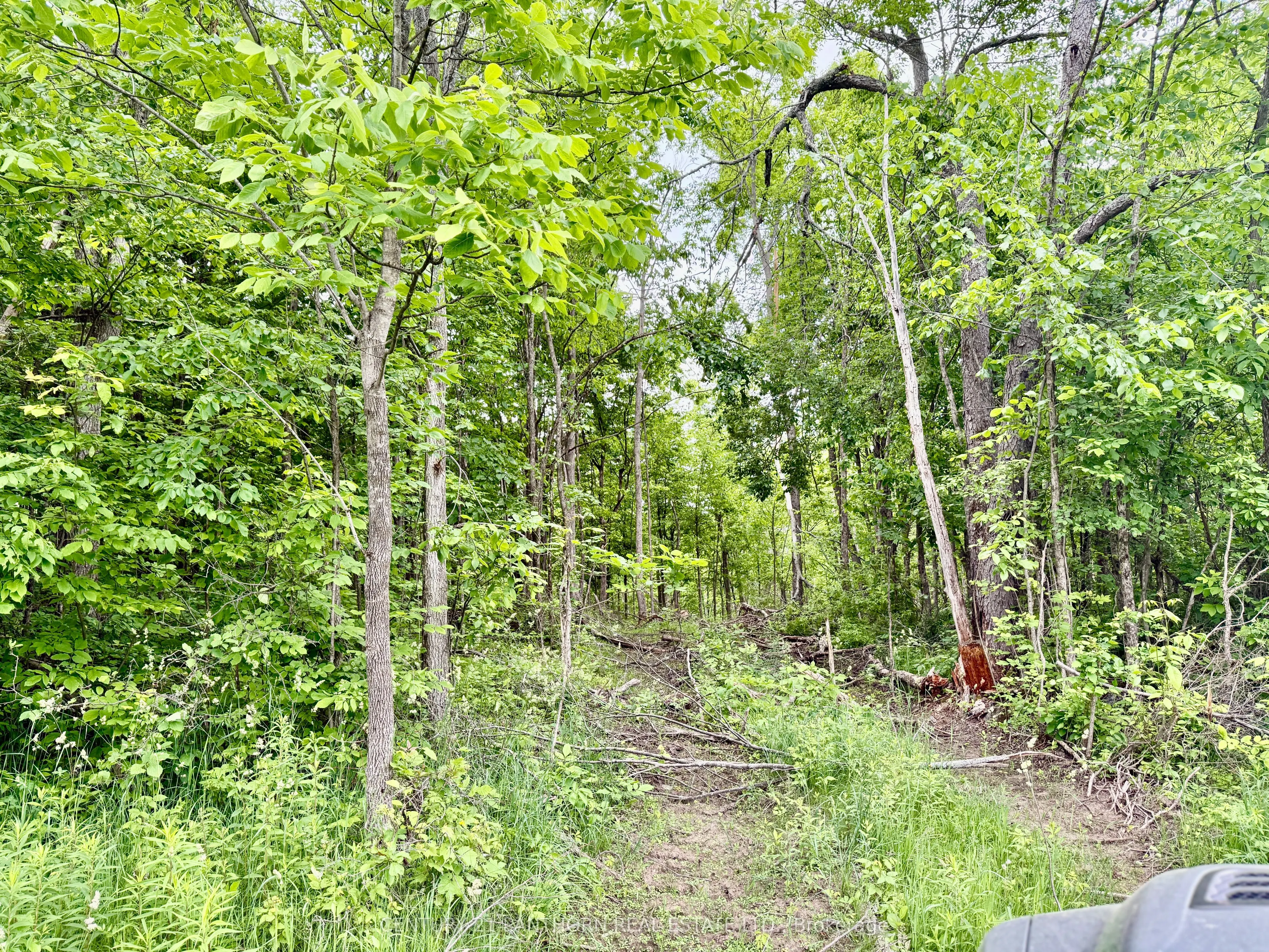 00 Cooper Road