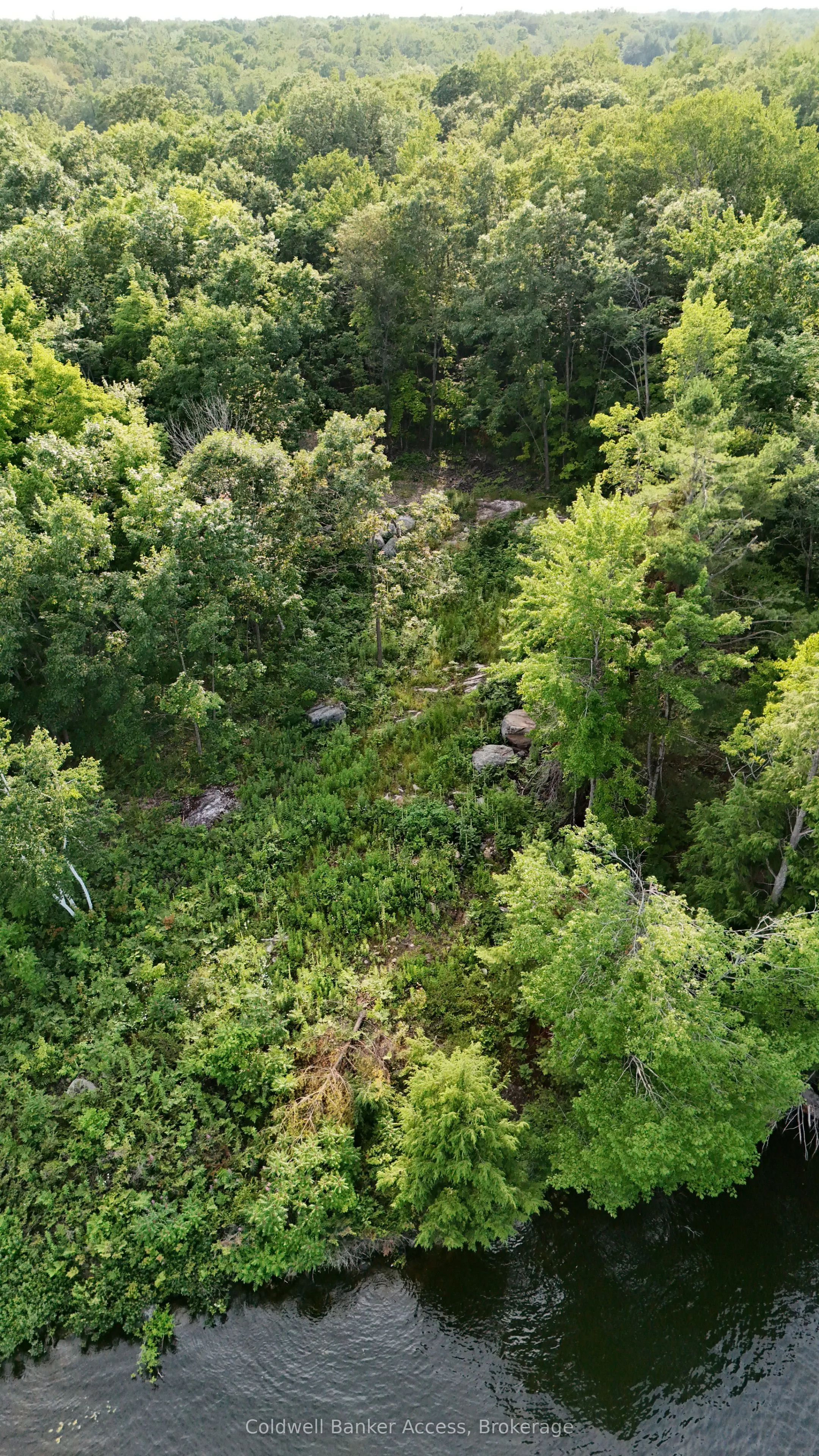 52 Hawkins Point Road