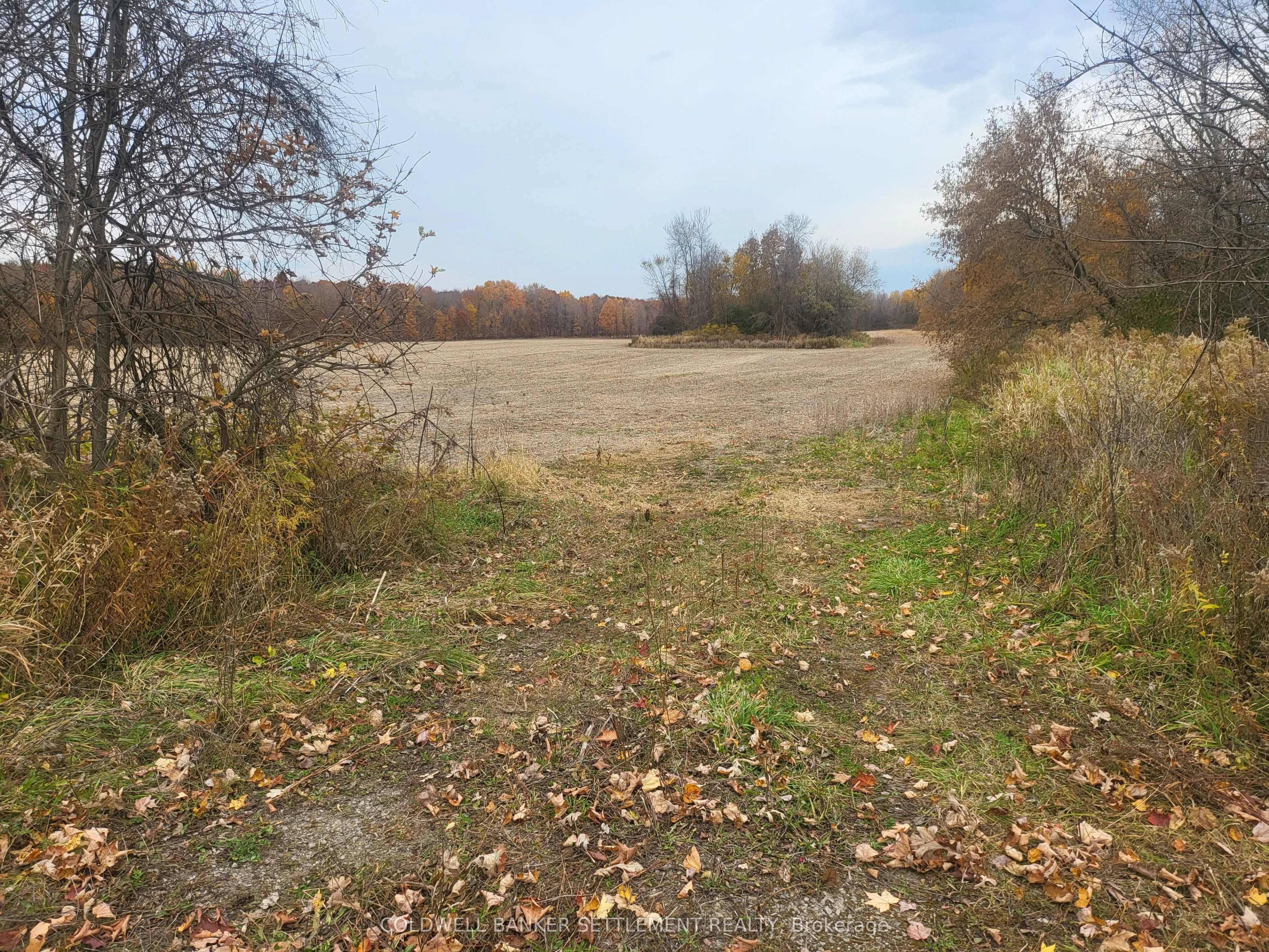 Lot 3 BUSH Road