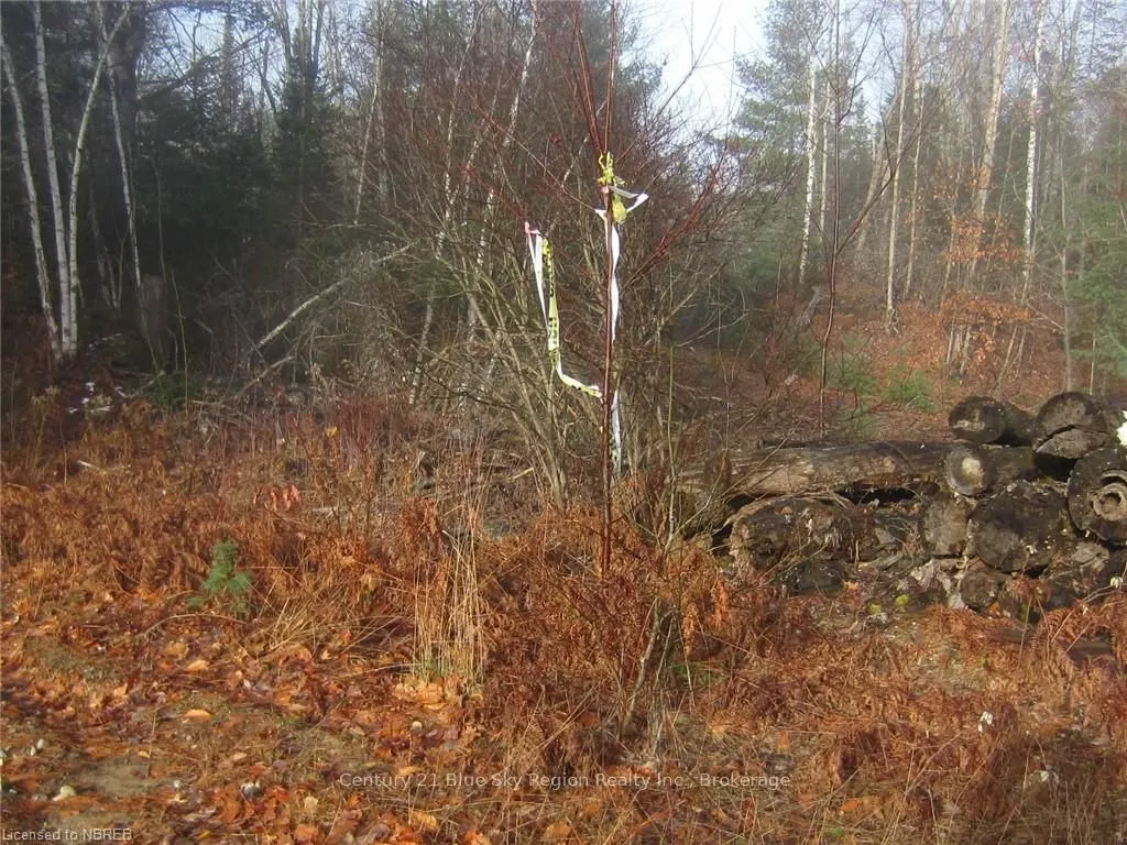 LOT 28 CONCESSION 11 Road