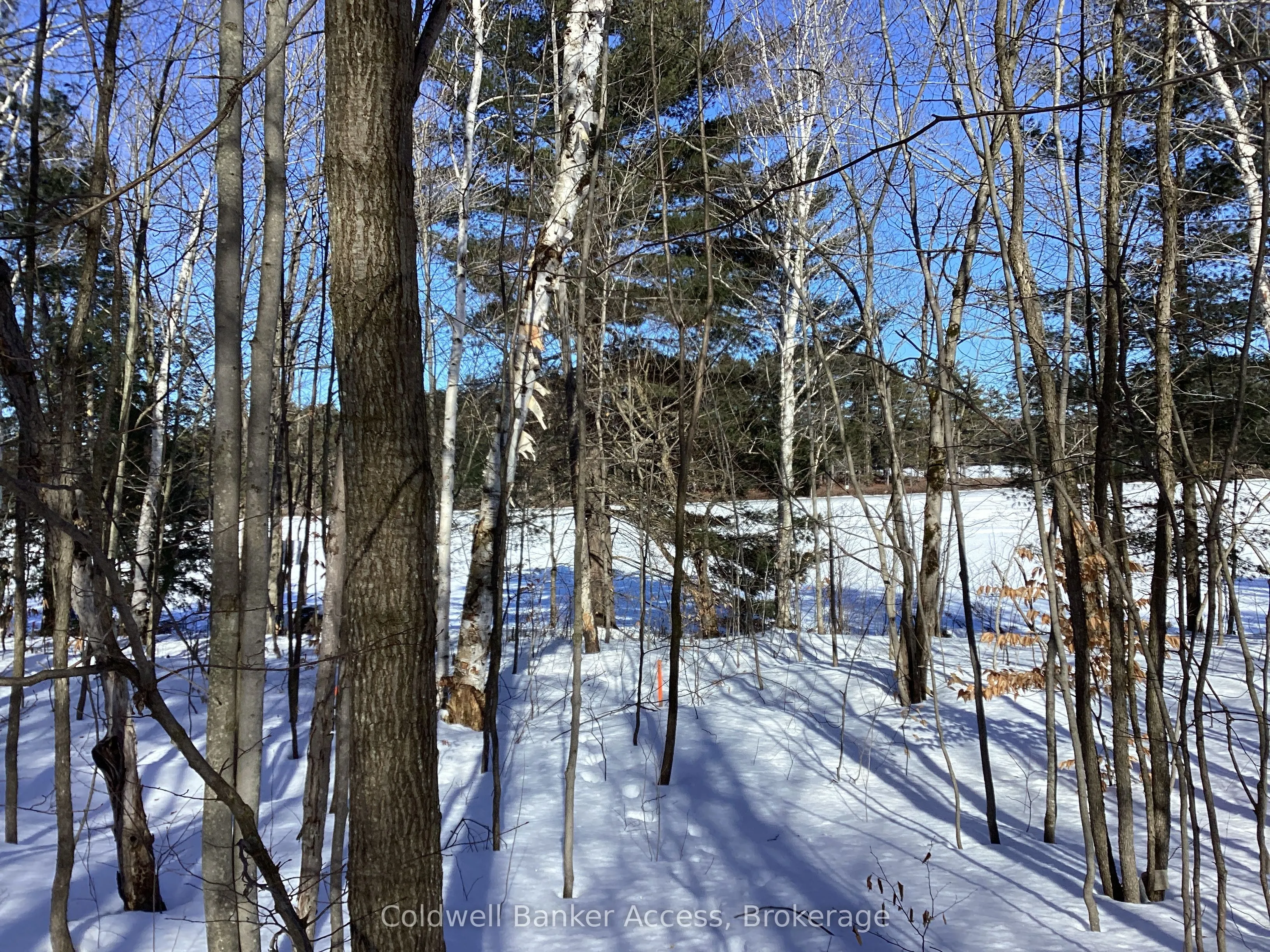 30 Hawkins Point Road