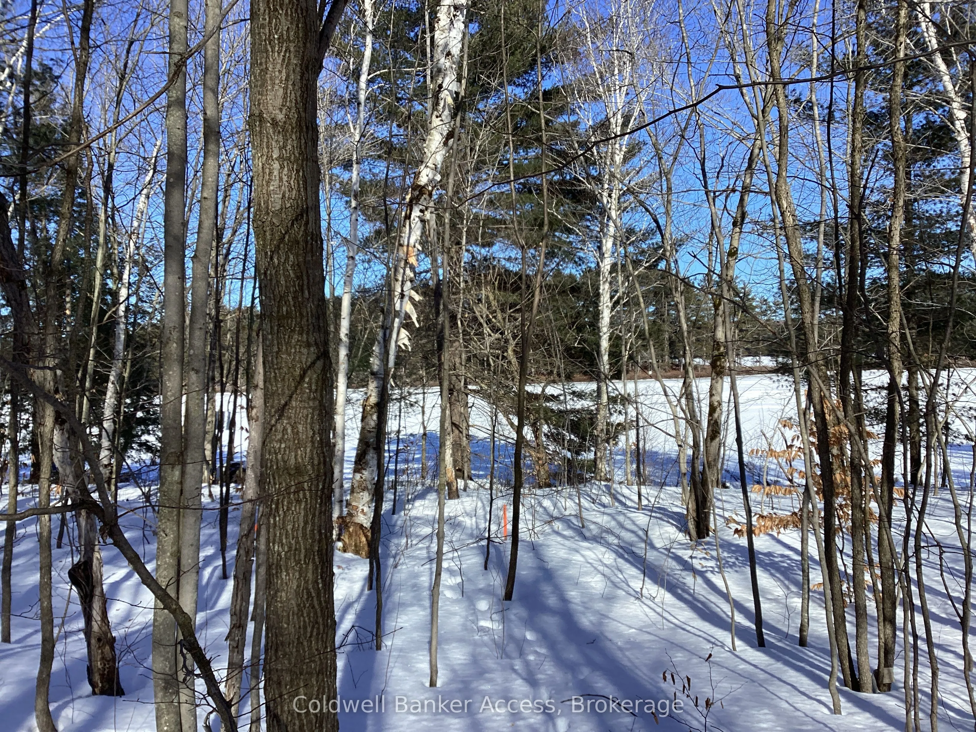 30 Hawkins Point Road