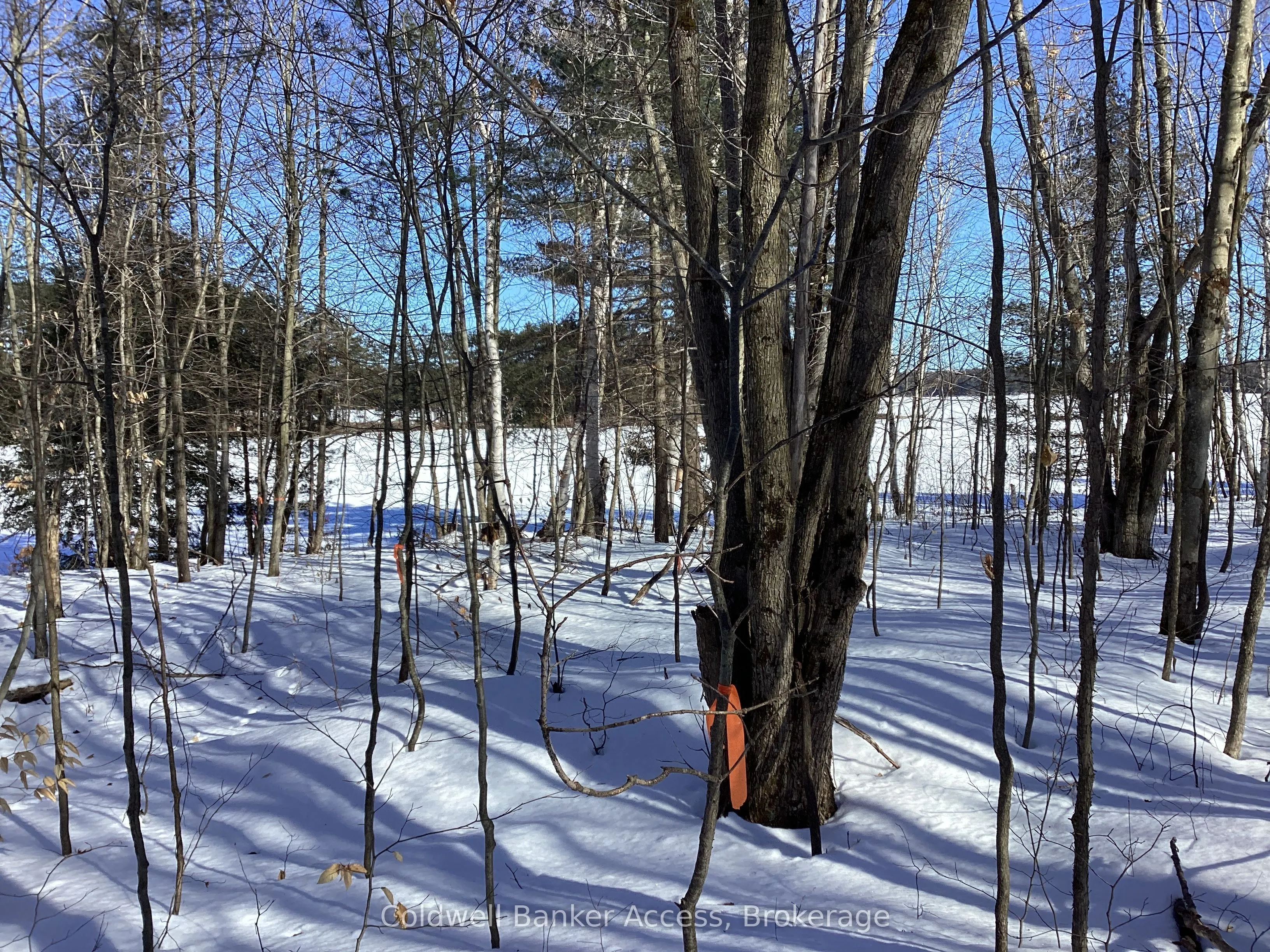 30 Hawkins Point Road