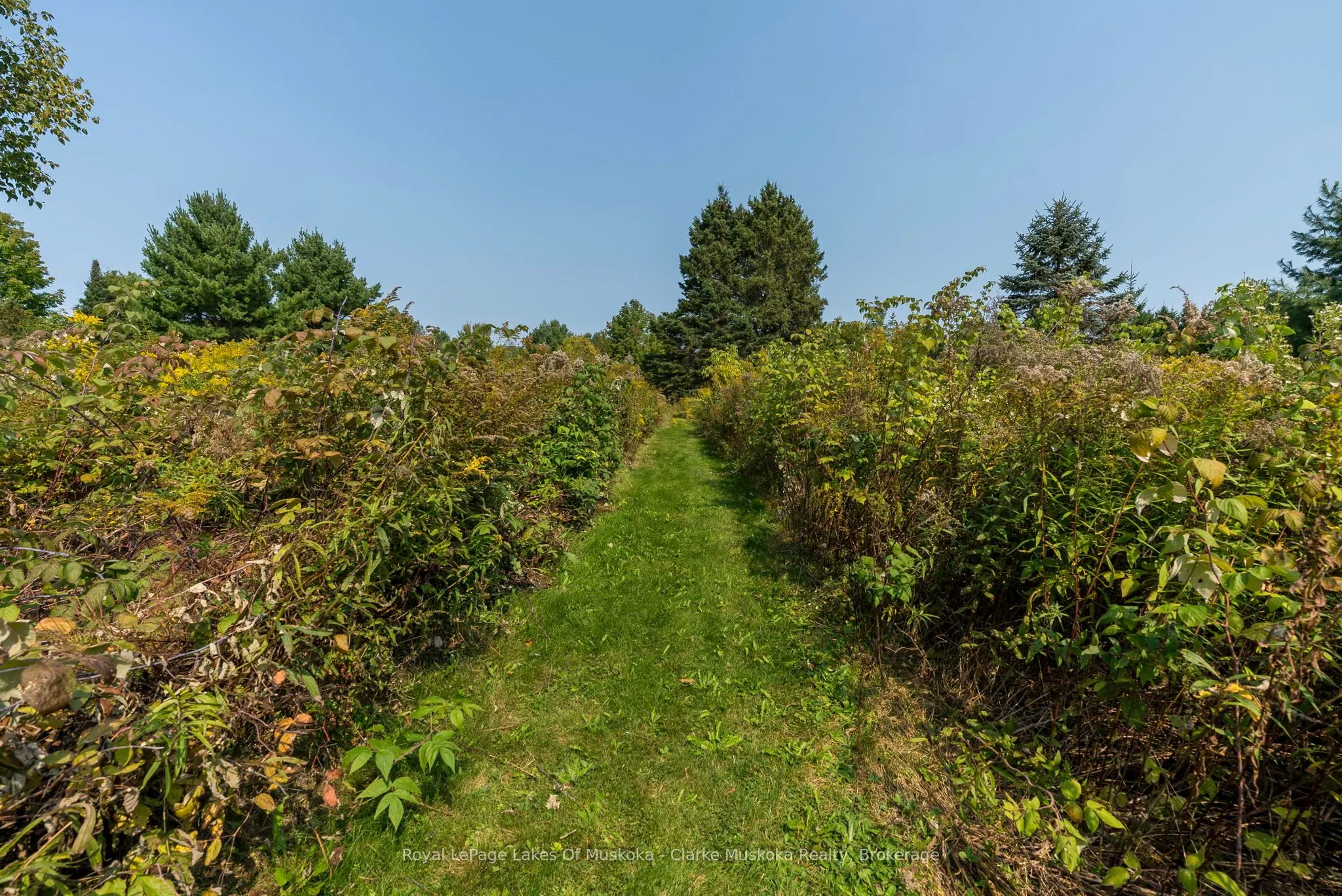 1259 GOLF COURSE Road