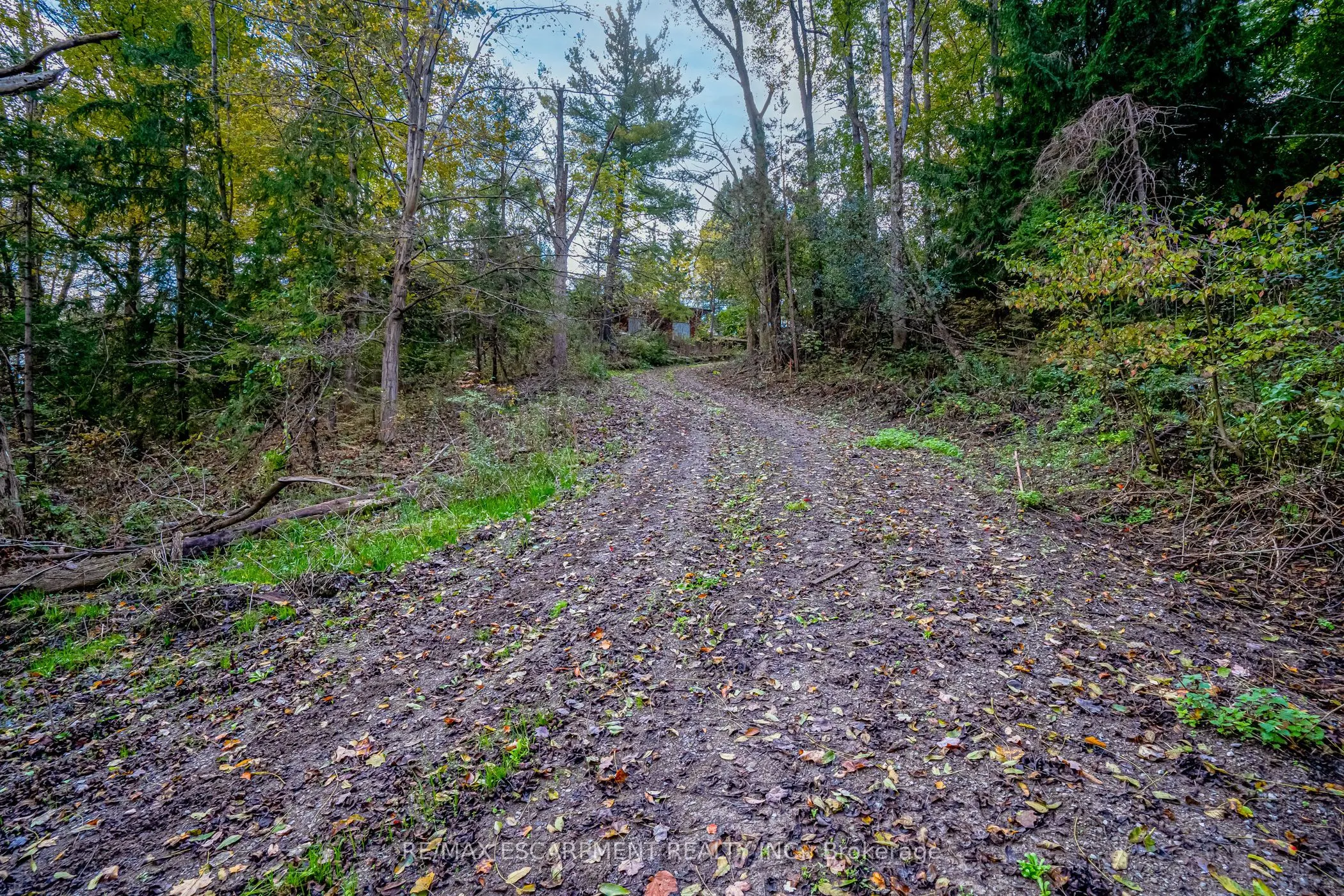 1296 MINERAL SPRINGS Road