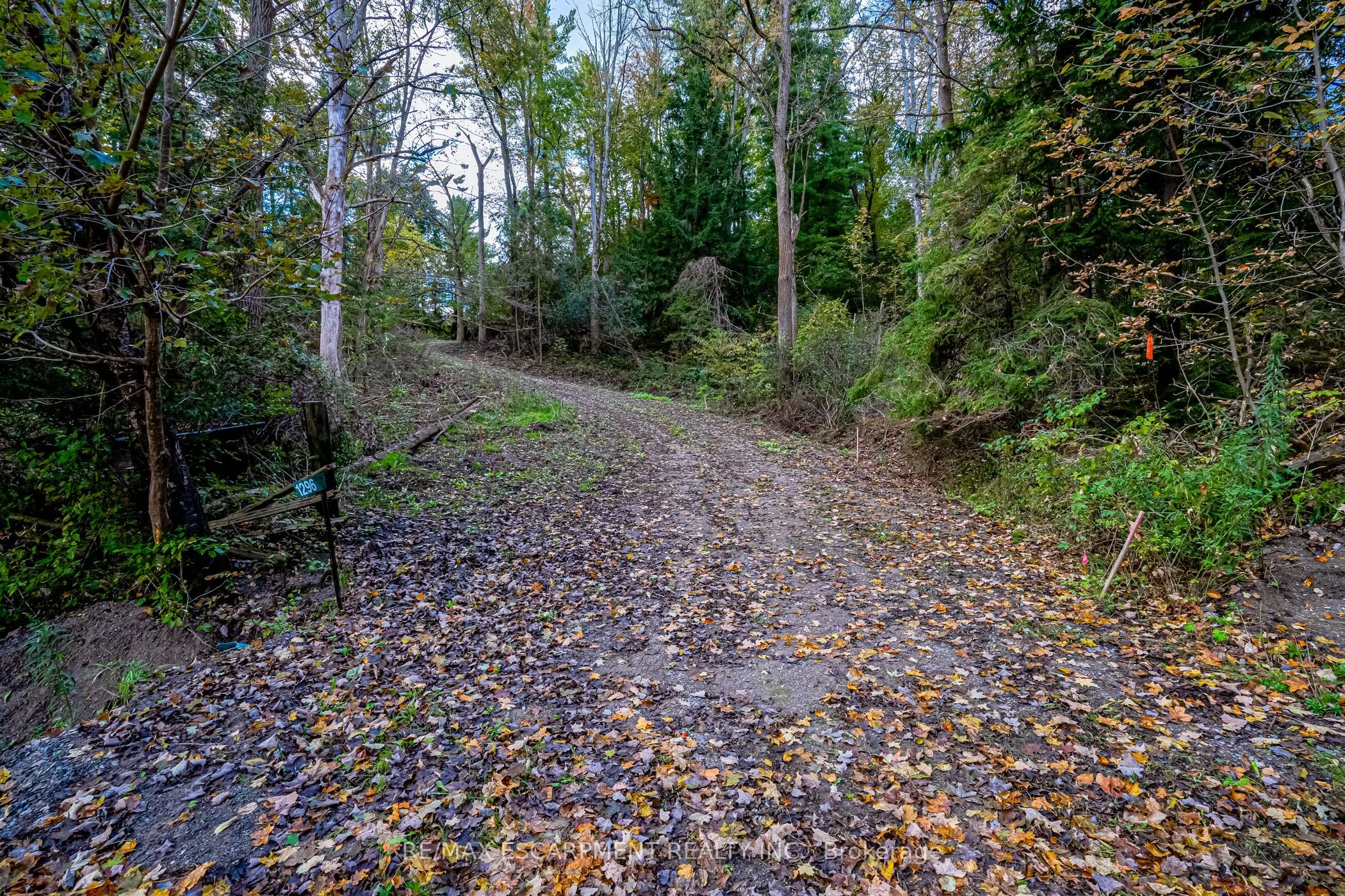 1296 MINERAL SPRINGS Road