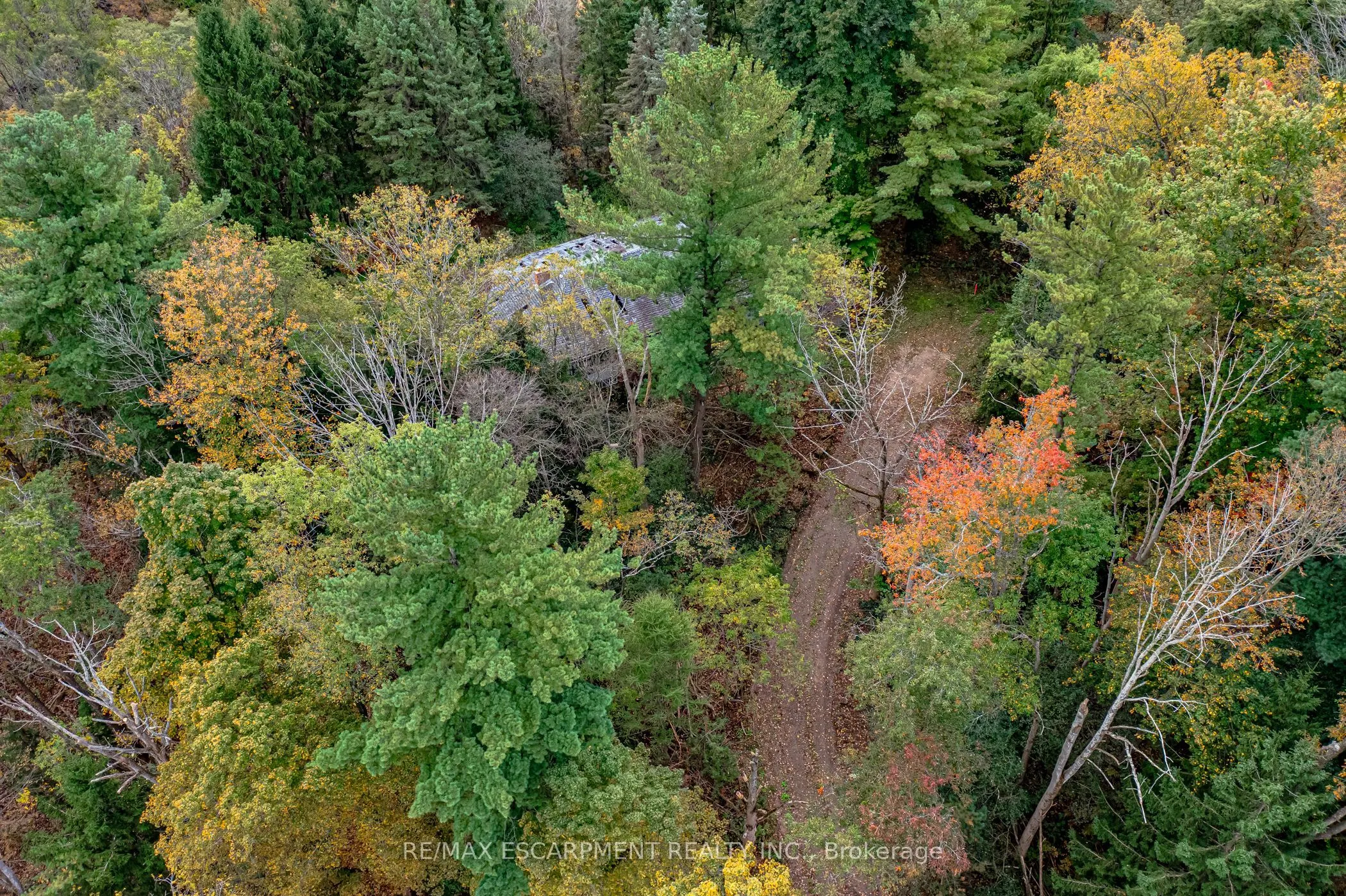 1296 MINERAL SPRINGS Road