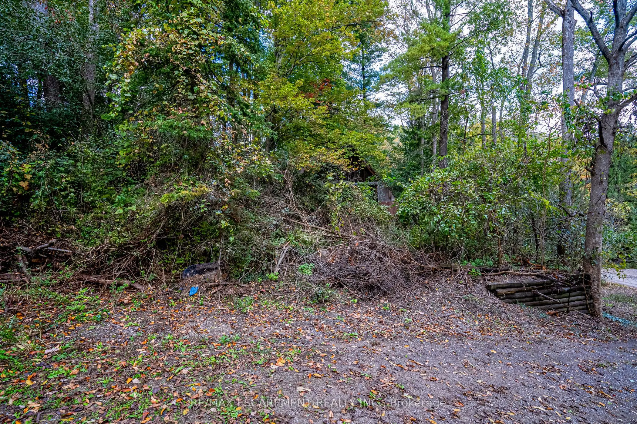 1296 MINERAL SPRINGS Road