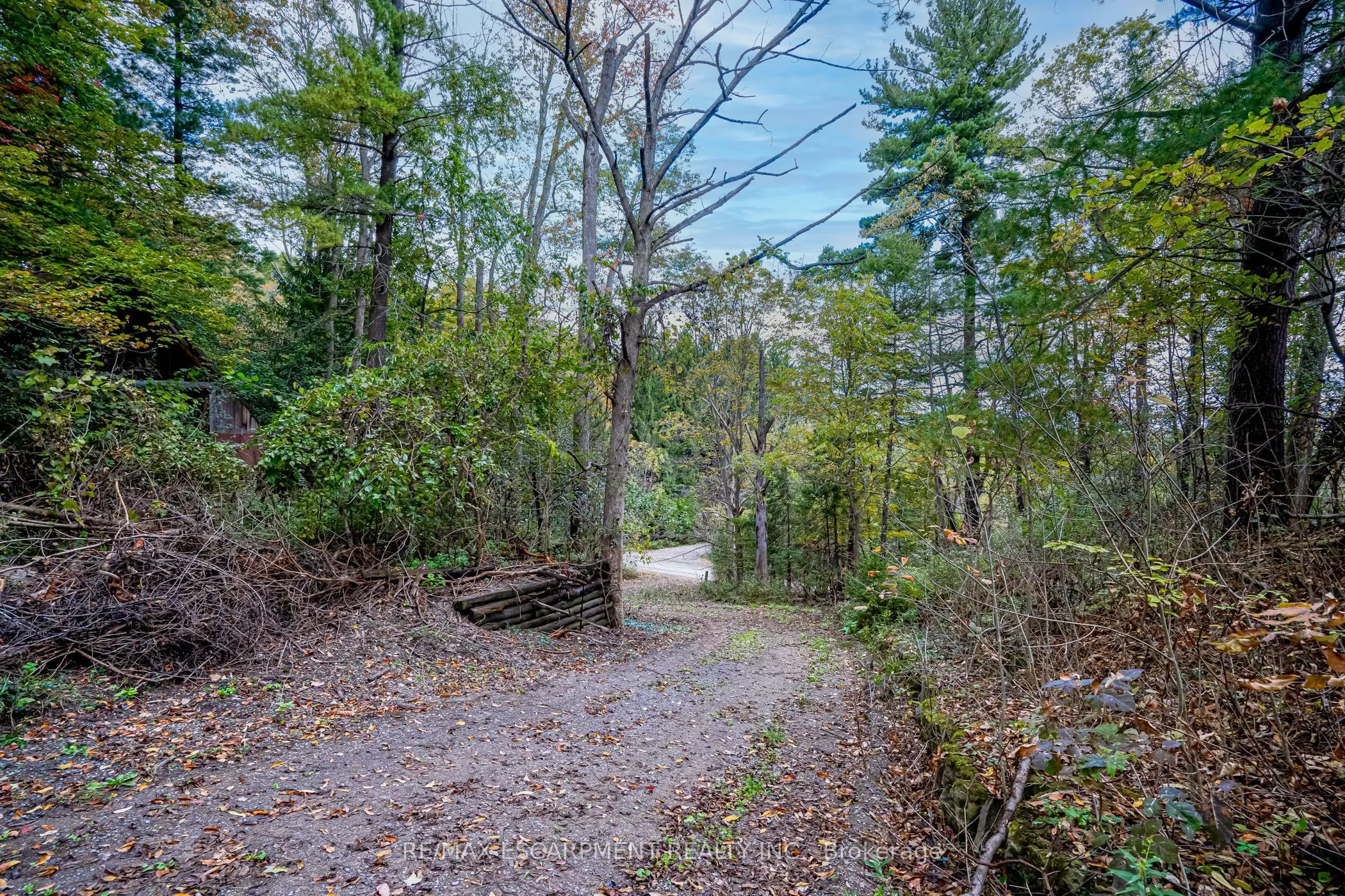 1296 MINERAL SPRINGS Road