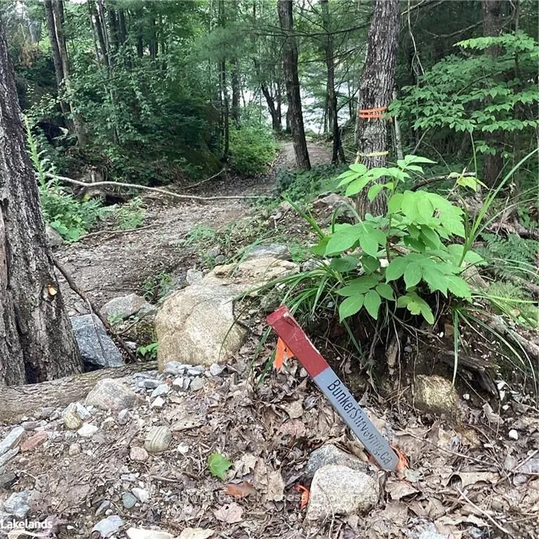 1029 Sunset Boulevard