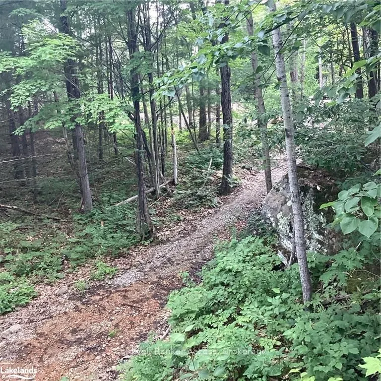 1029 Sunset Boulevard