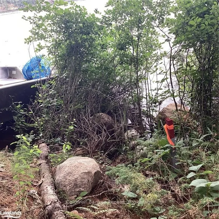 1029 Sunset Boulevard