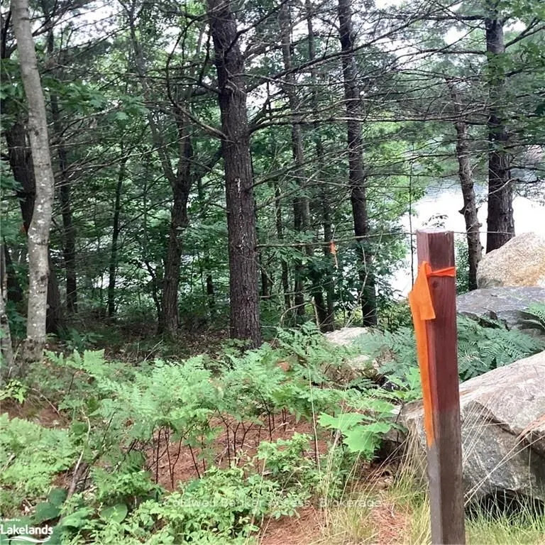 1029 Sunset Boulevard