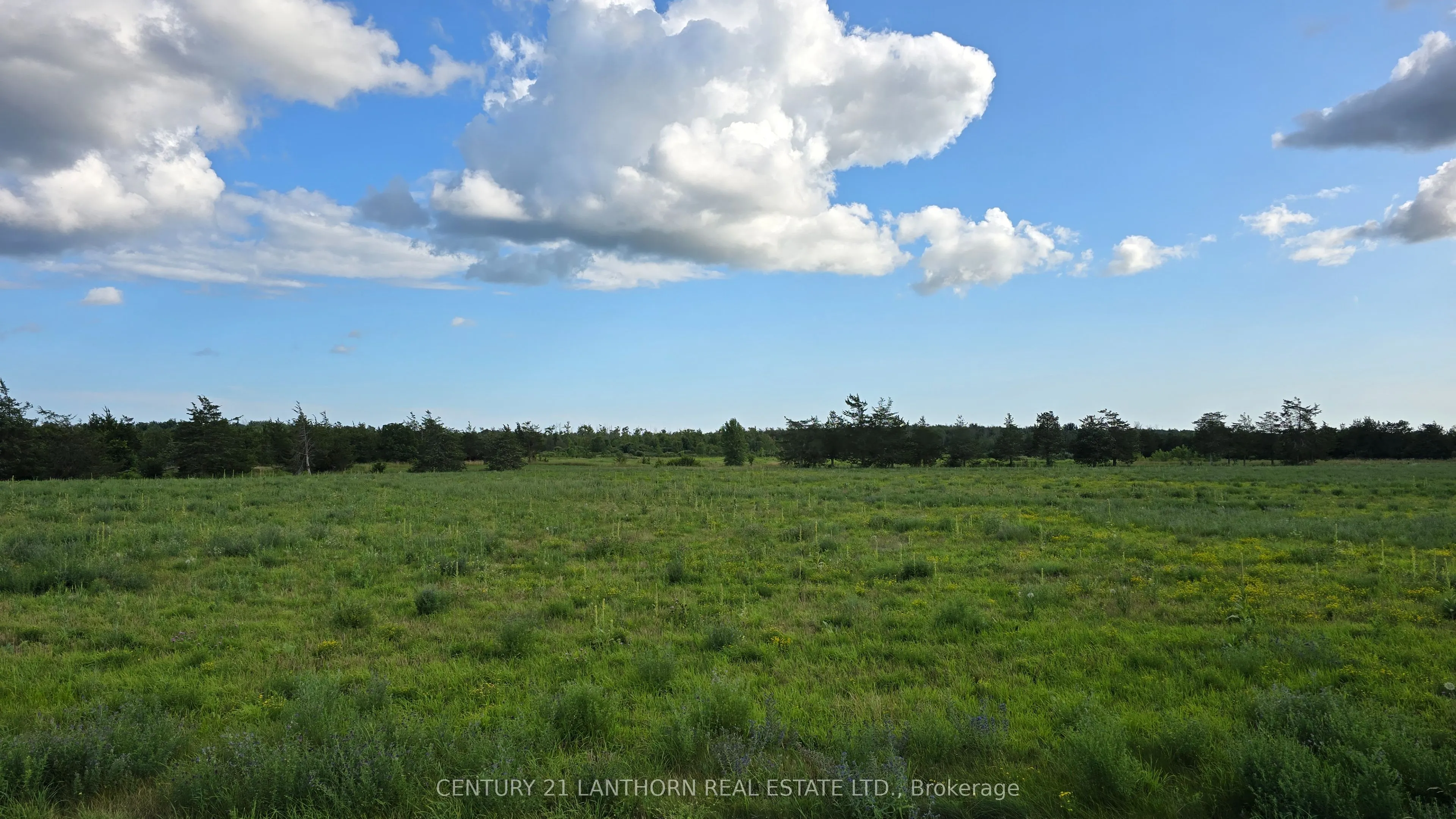 1678 County Road 8
