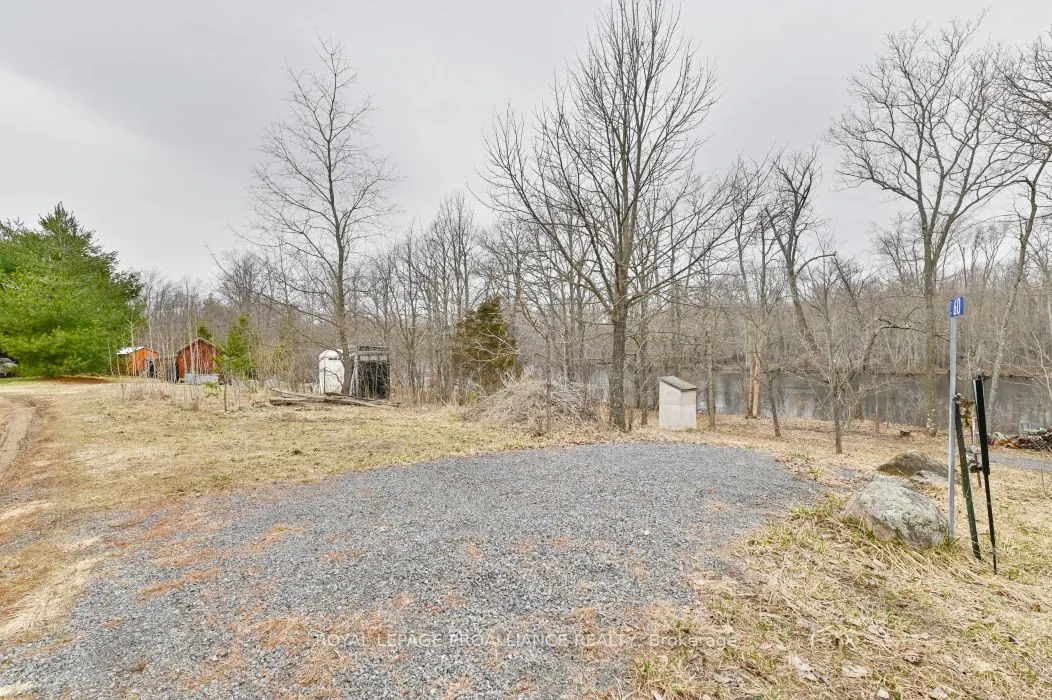 60 Birch Lane