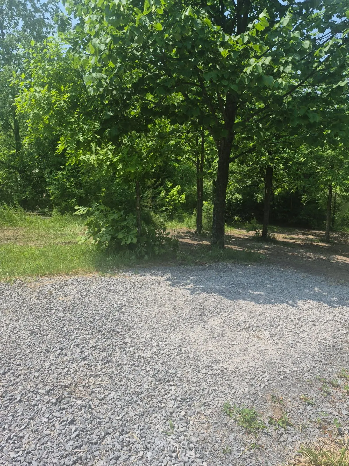 60 Birch Lane