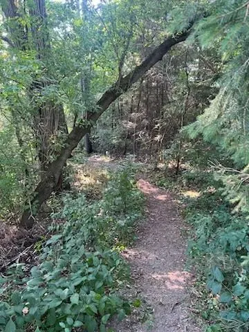 Lot 28 Bamsey Drive