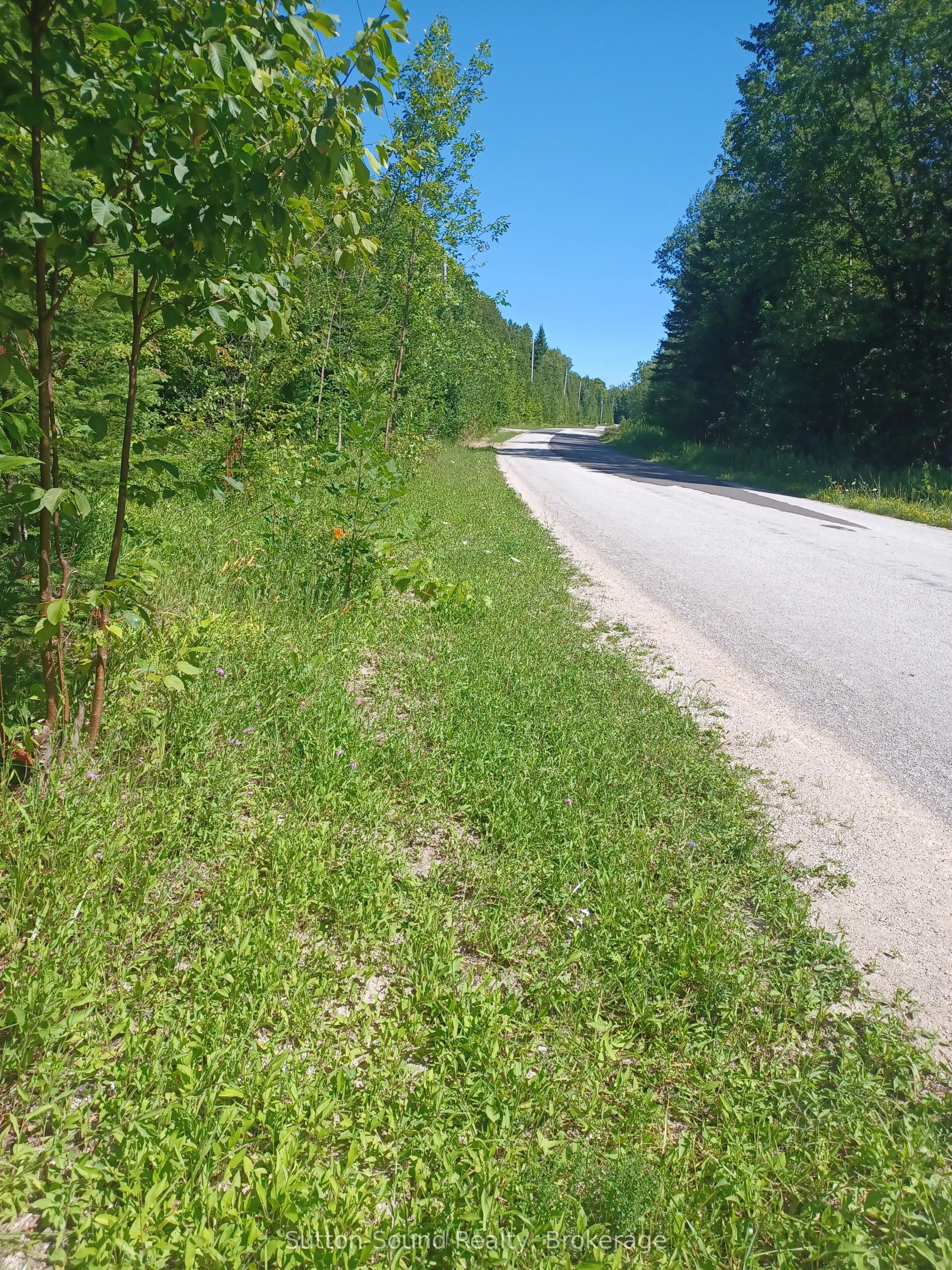 382309 Concession 17
