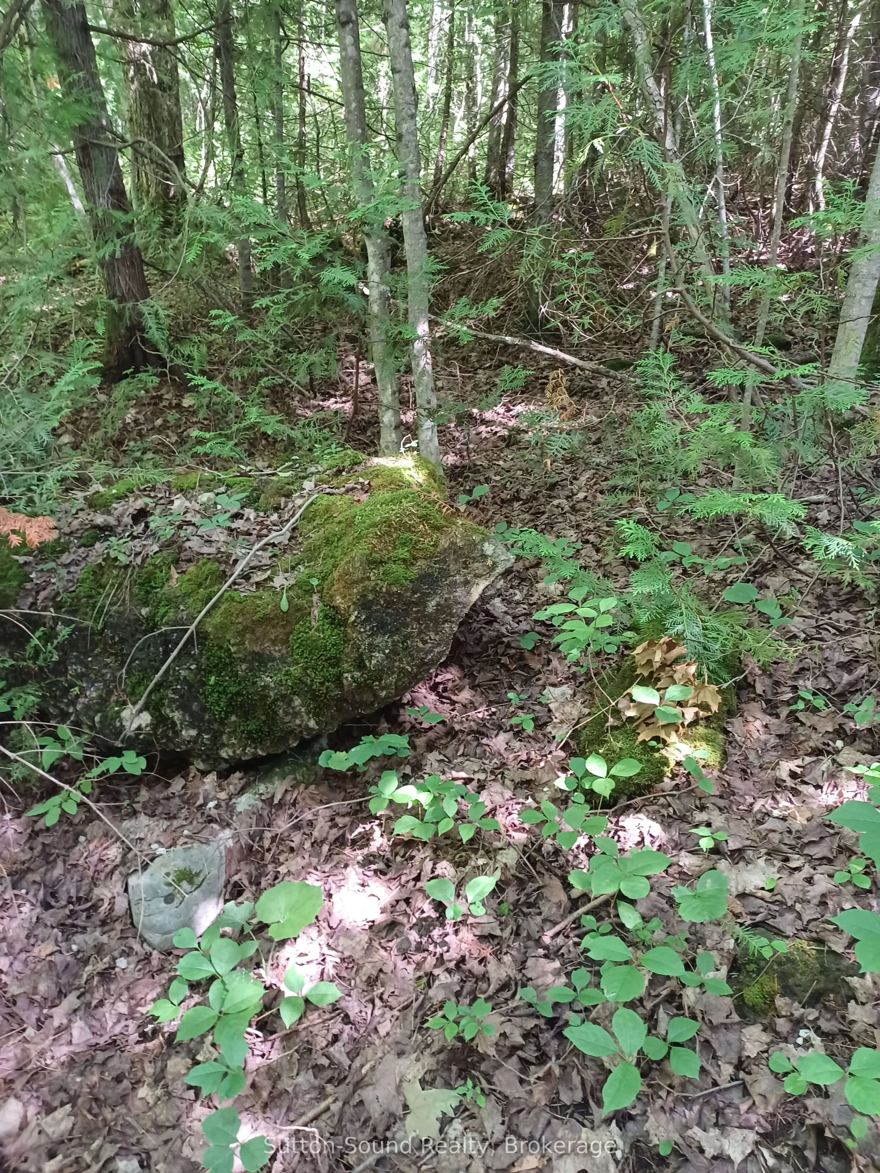 382309 Concession 17