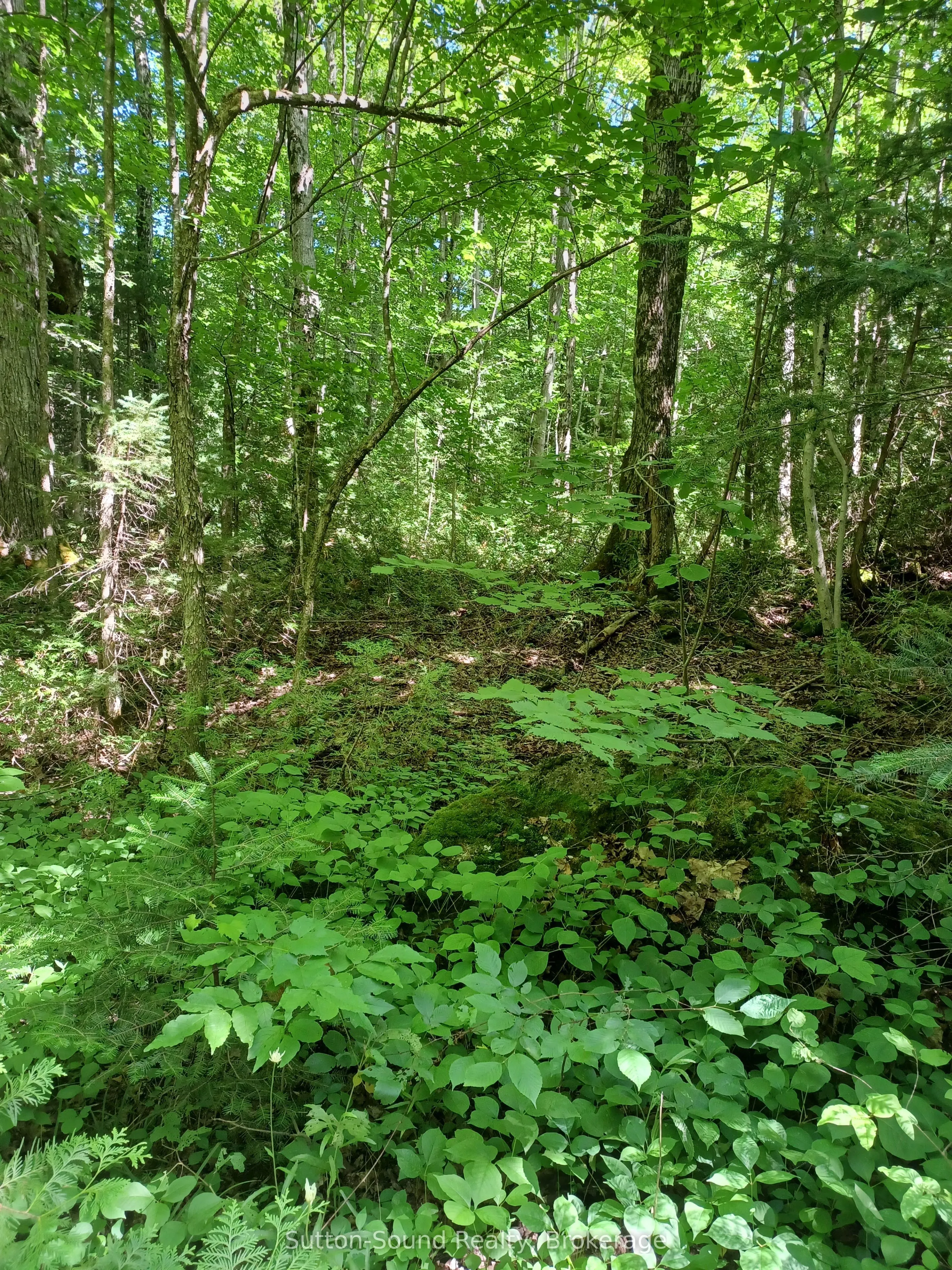 382309 Concession 17