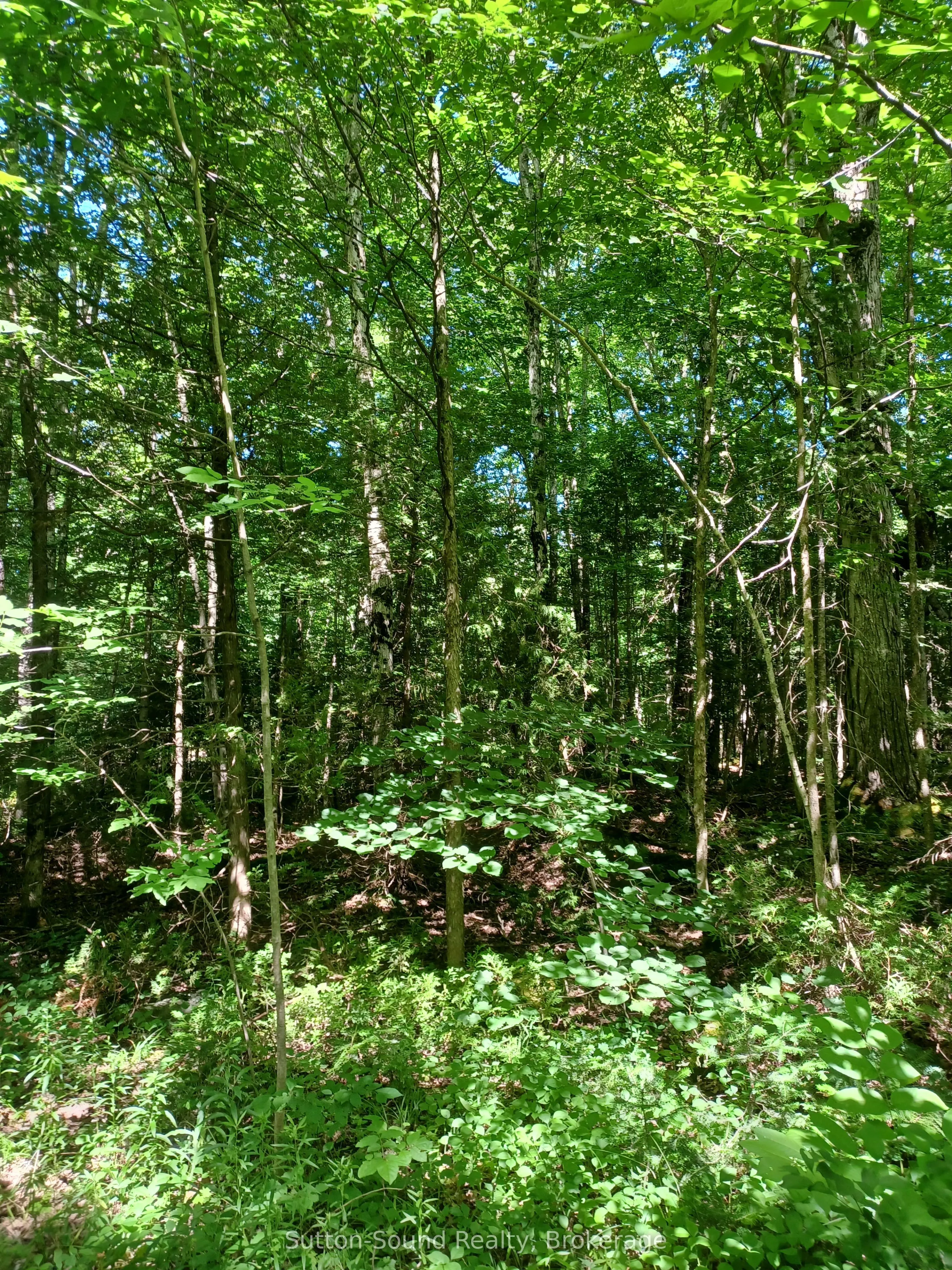 382309 Concession 17