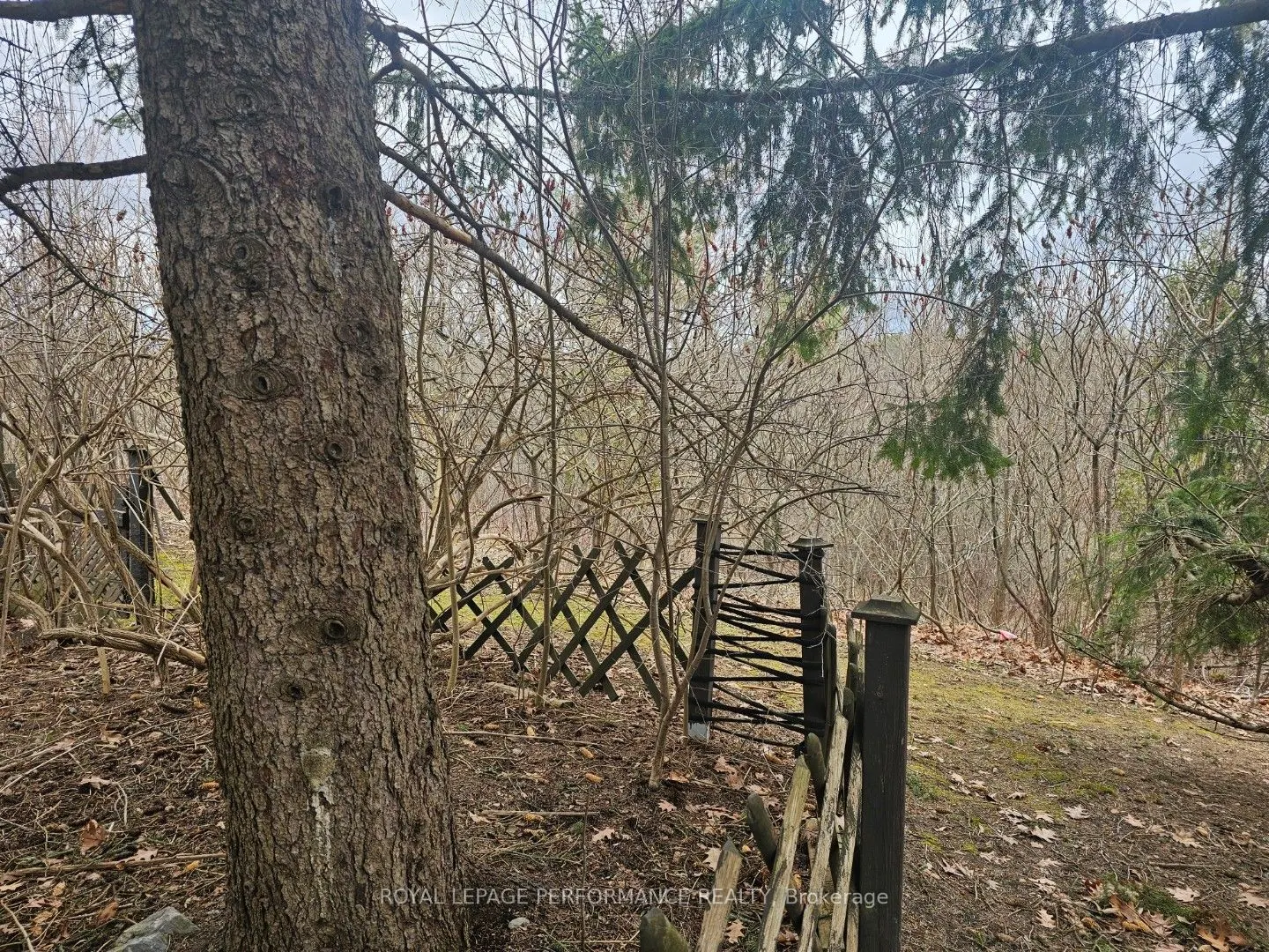 1155 Millwood Court #17