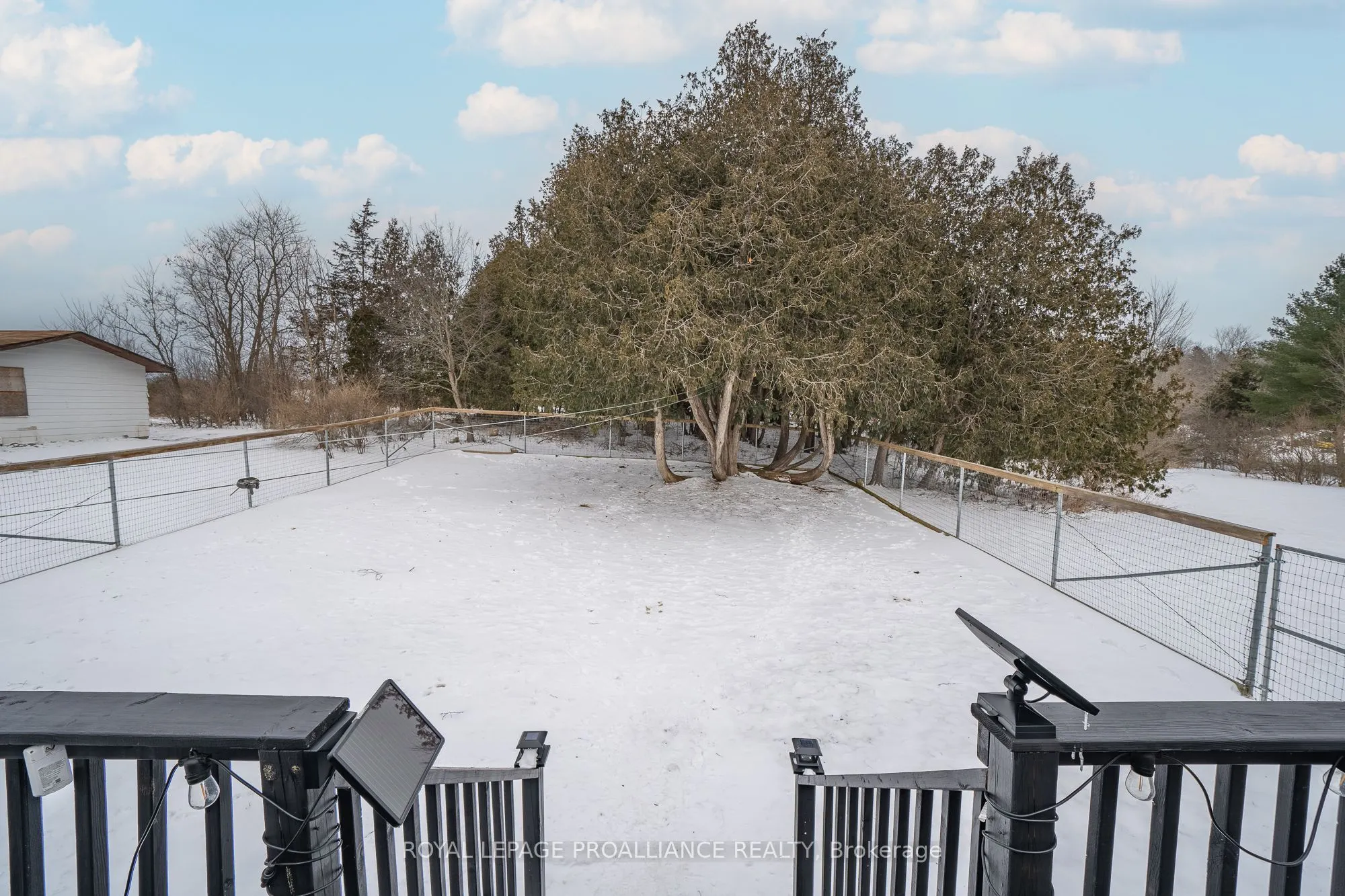 43 Pine Grove Road