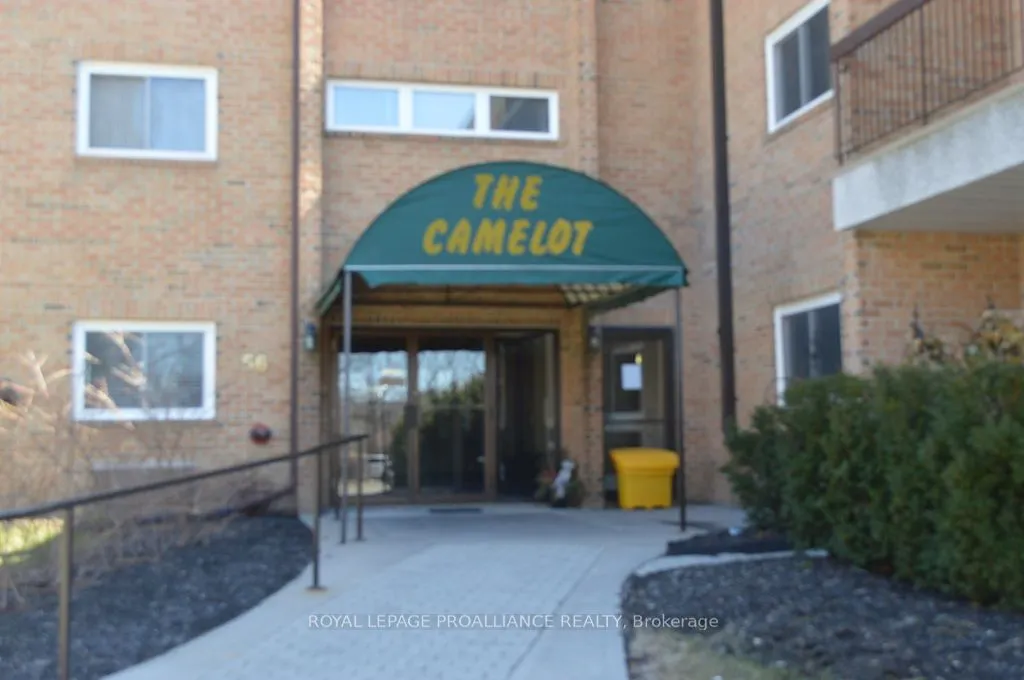 56 Tripp Boulevard, #205