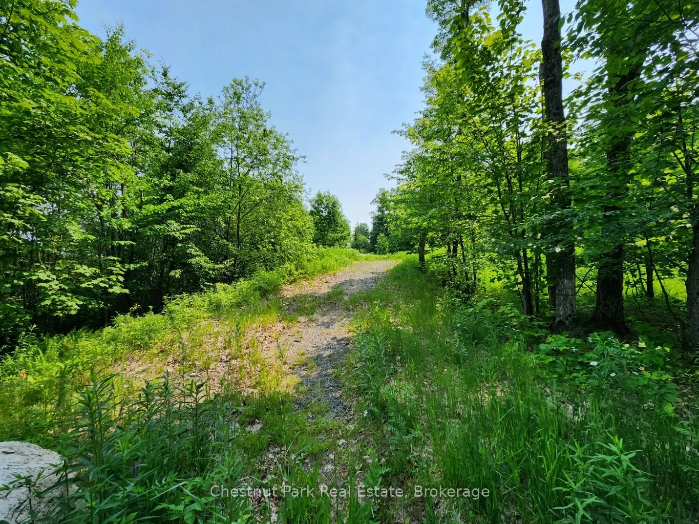 19 Old Hemlock Trail