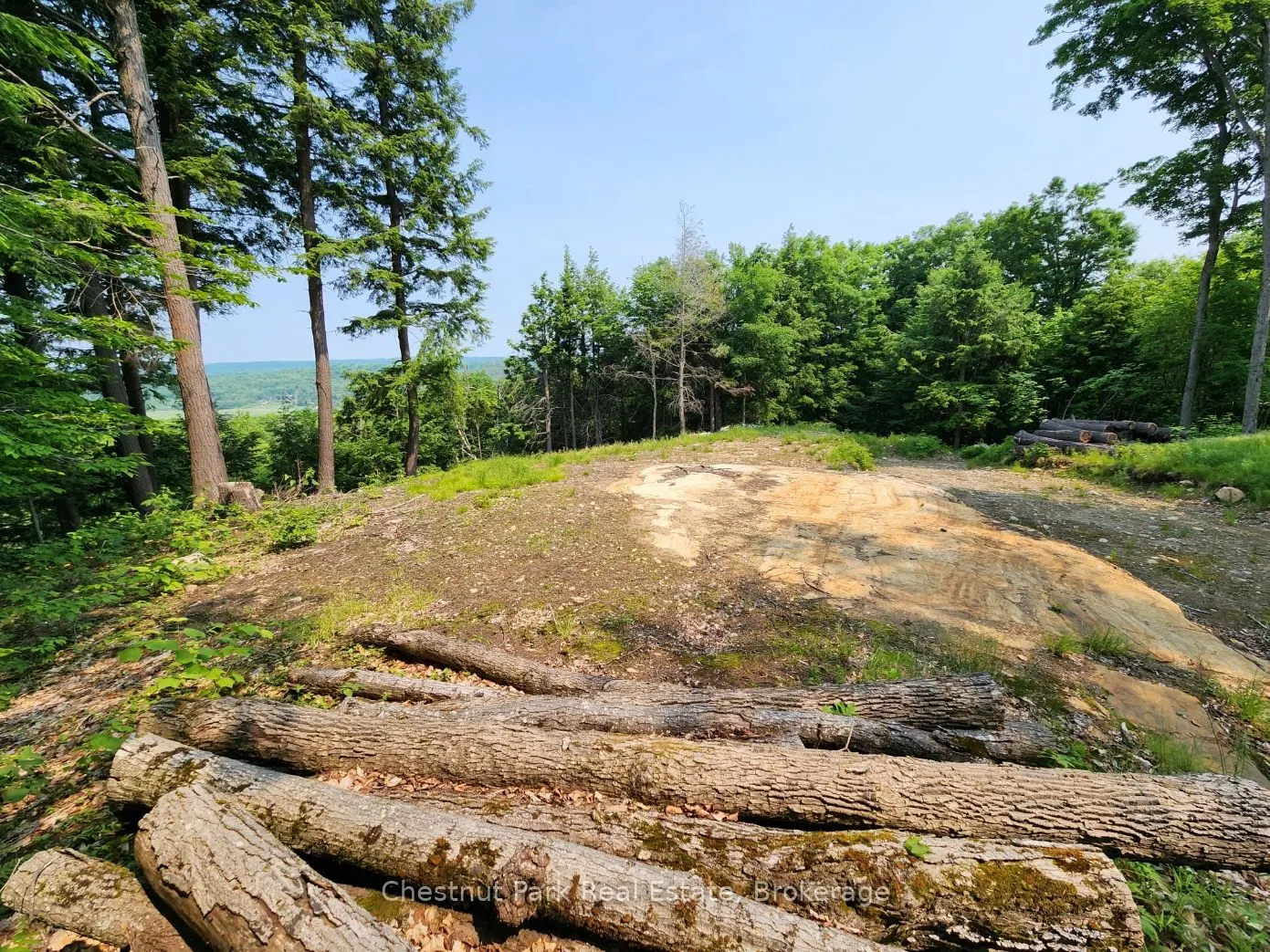 19 Old Hemlock Trail
