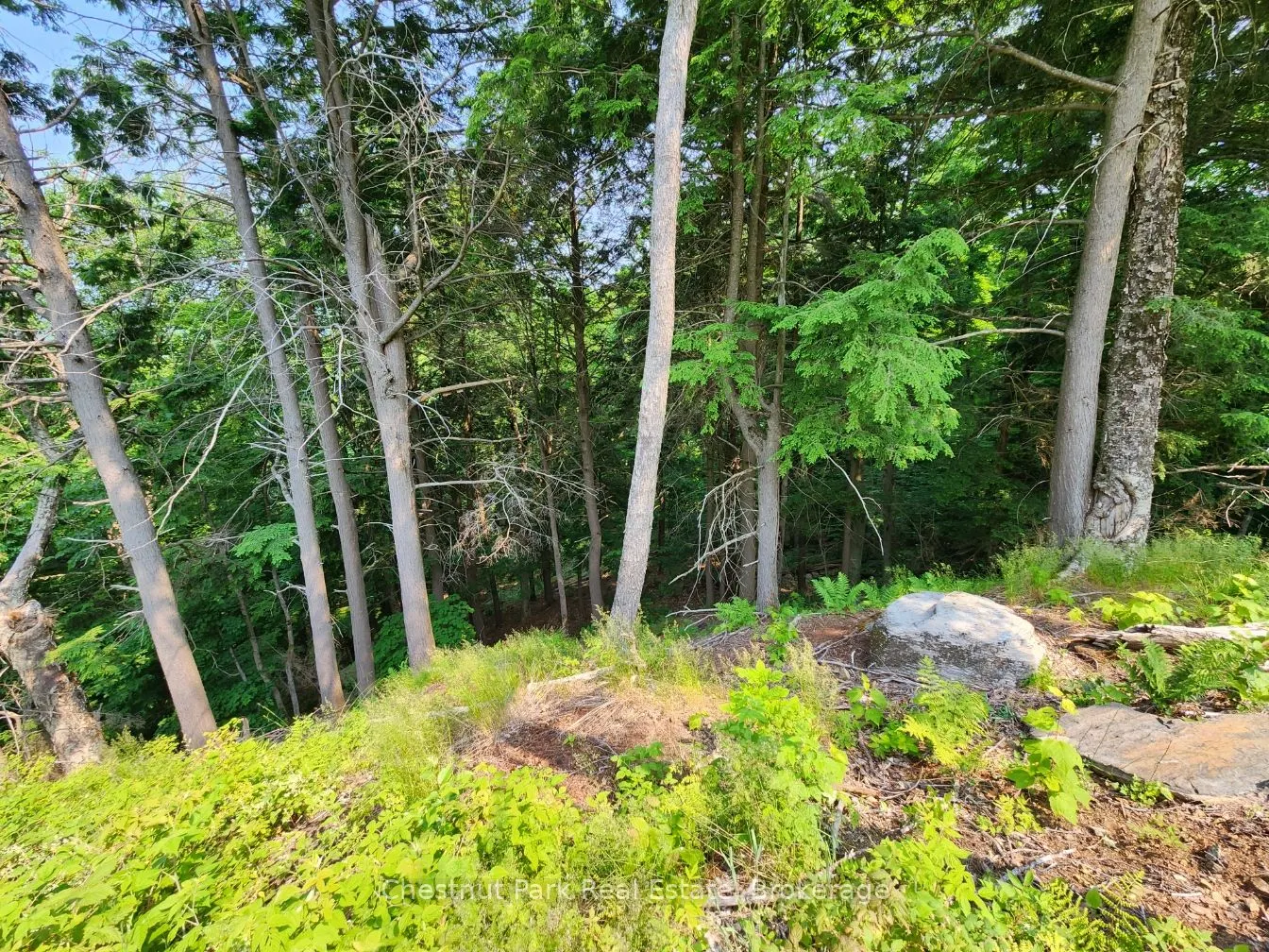 19 Old Hemlock Trail