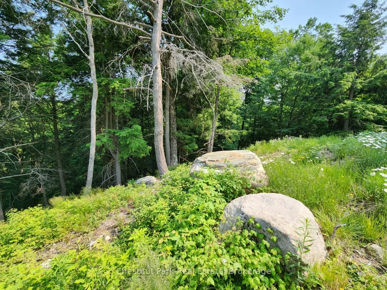 19 Old Hemlock Trail
