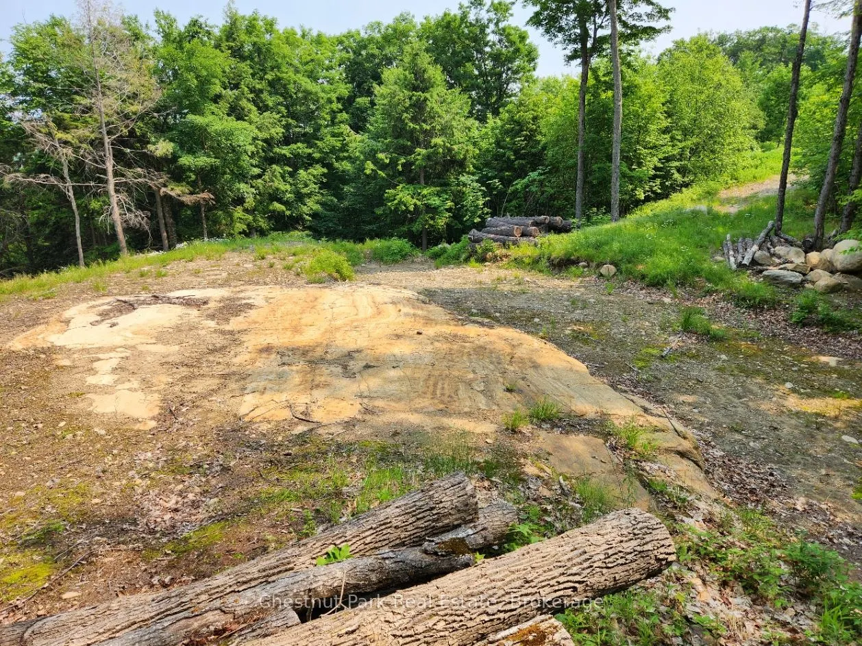 19 Old Hemlock Trail