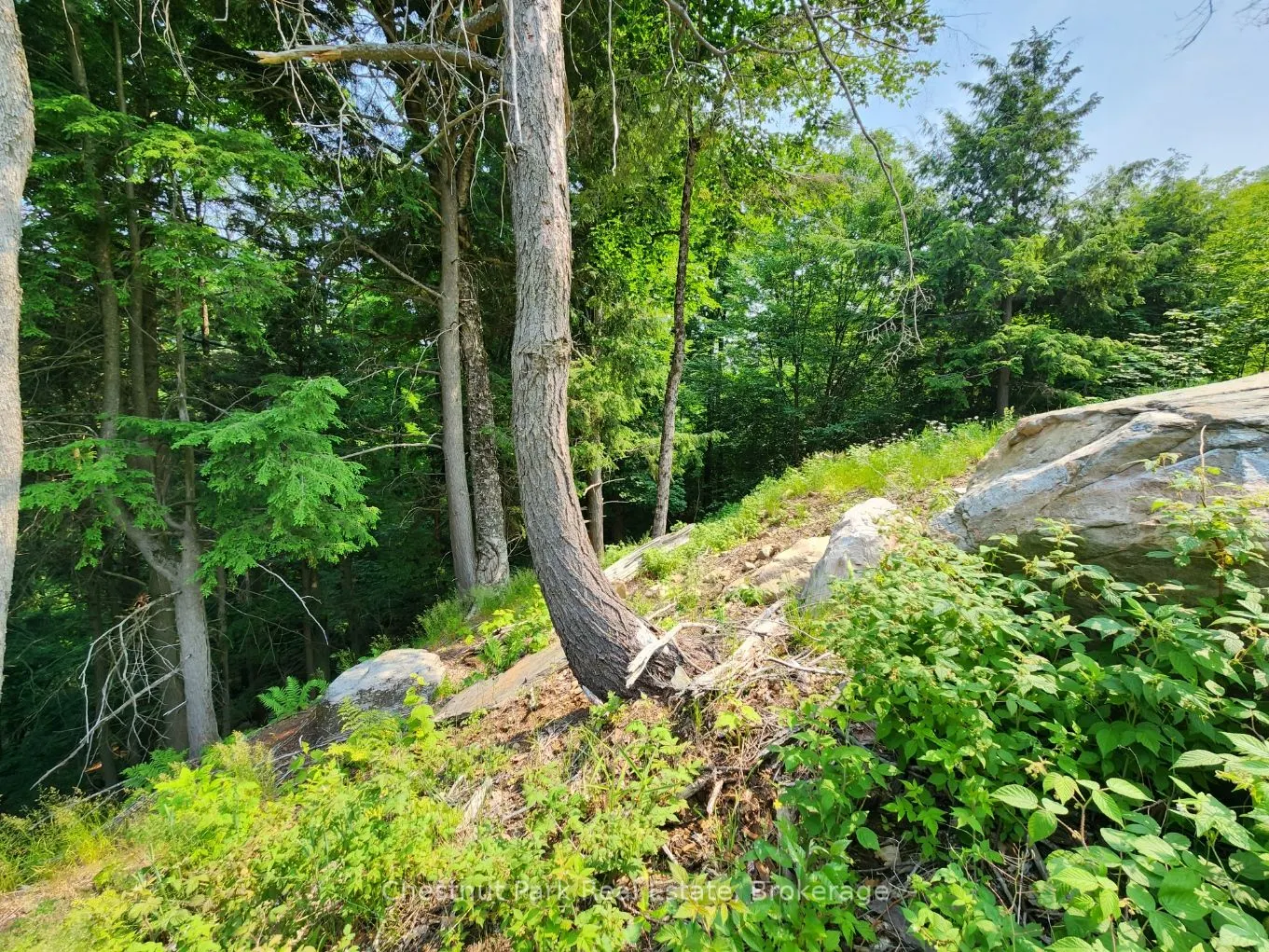 19 Old Hemlock Trail