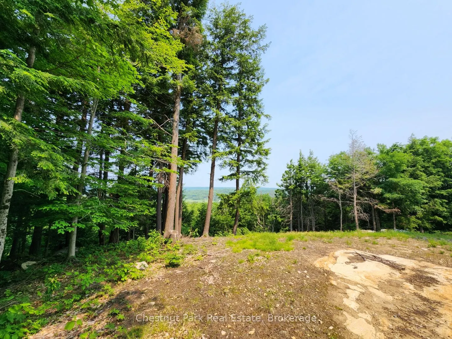 19 Old Hemlock Trail