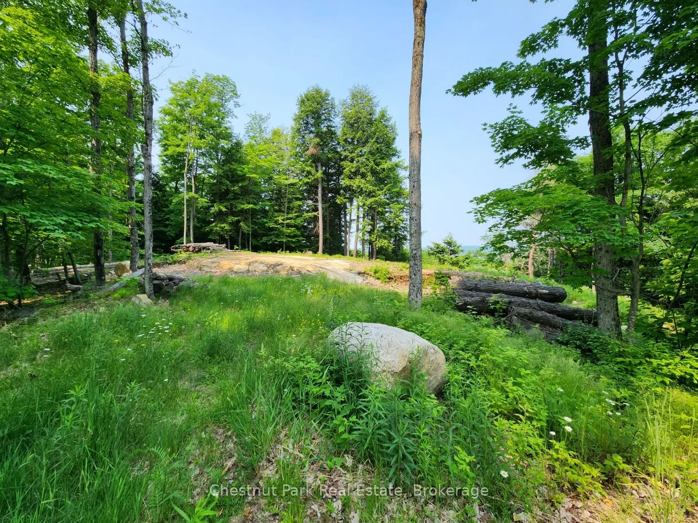 19 Old Hemlock Trail