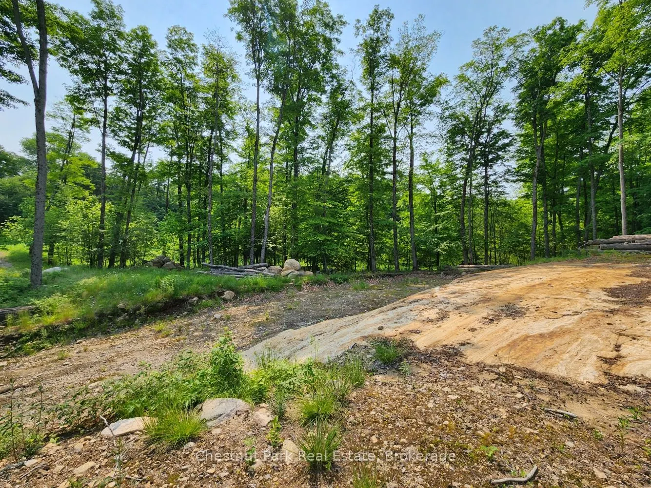 19 Old Hemlock Trail