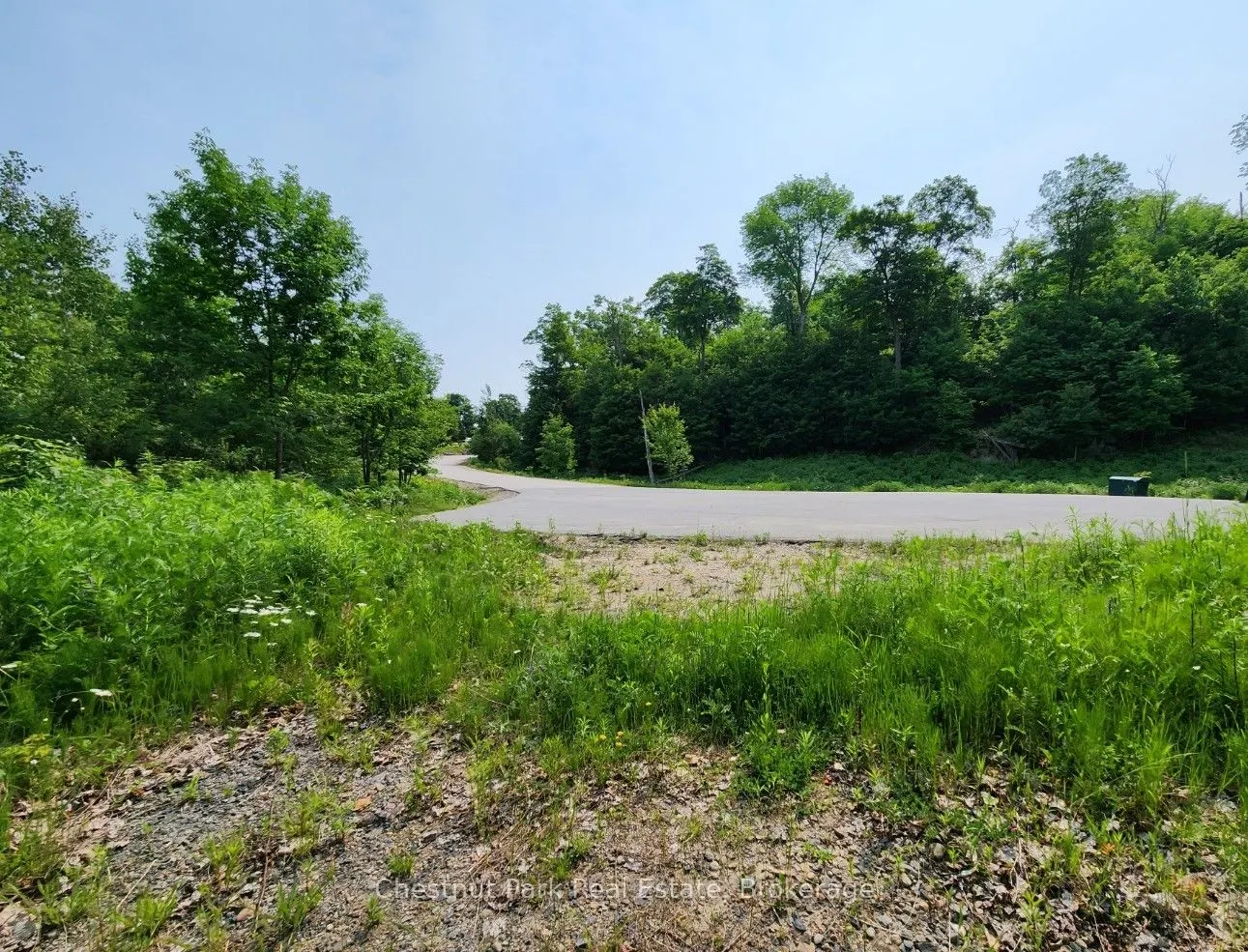 19 Old Hemlock Trail