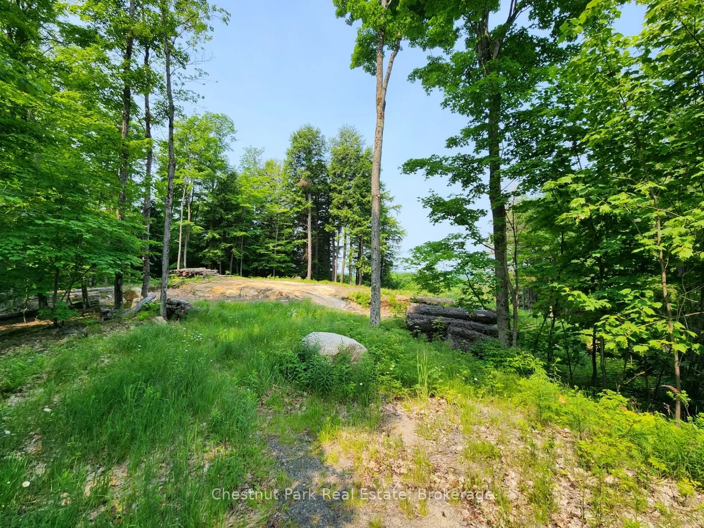 19 Old Hemlock Trail