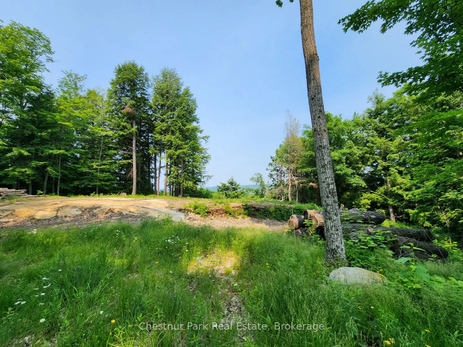 19 Old Hemlock Trail