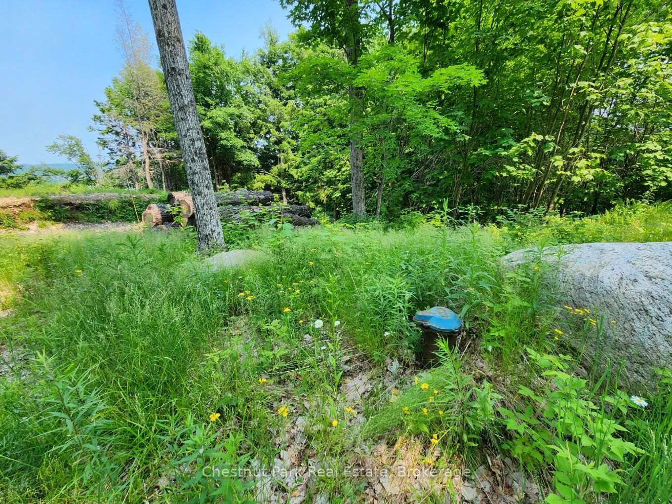 19 Old Hemlock Trail