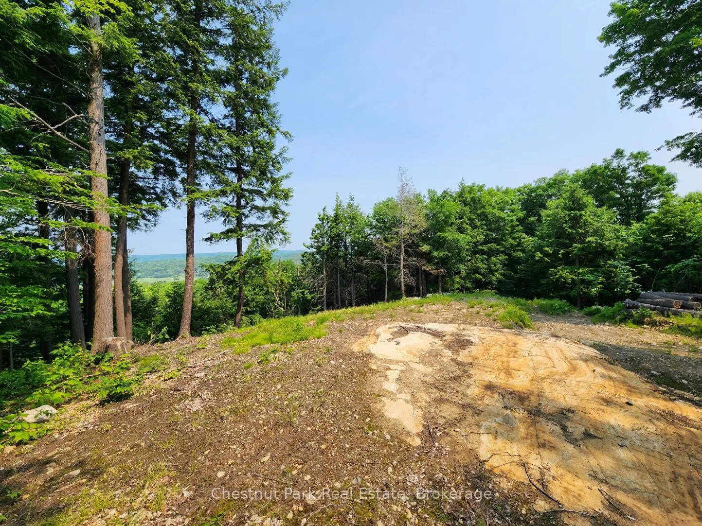 19 Old Hemlock Trail