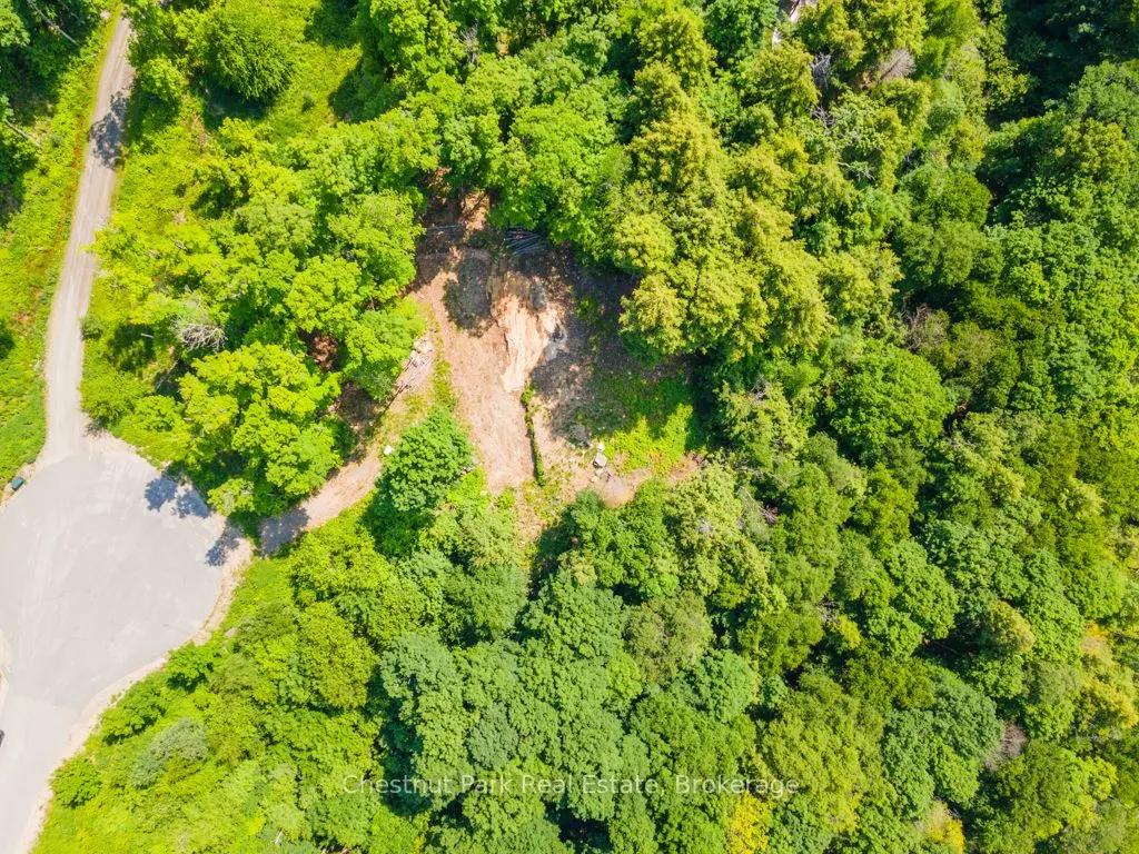 19 Old Hemlock Trail